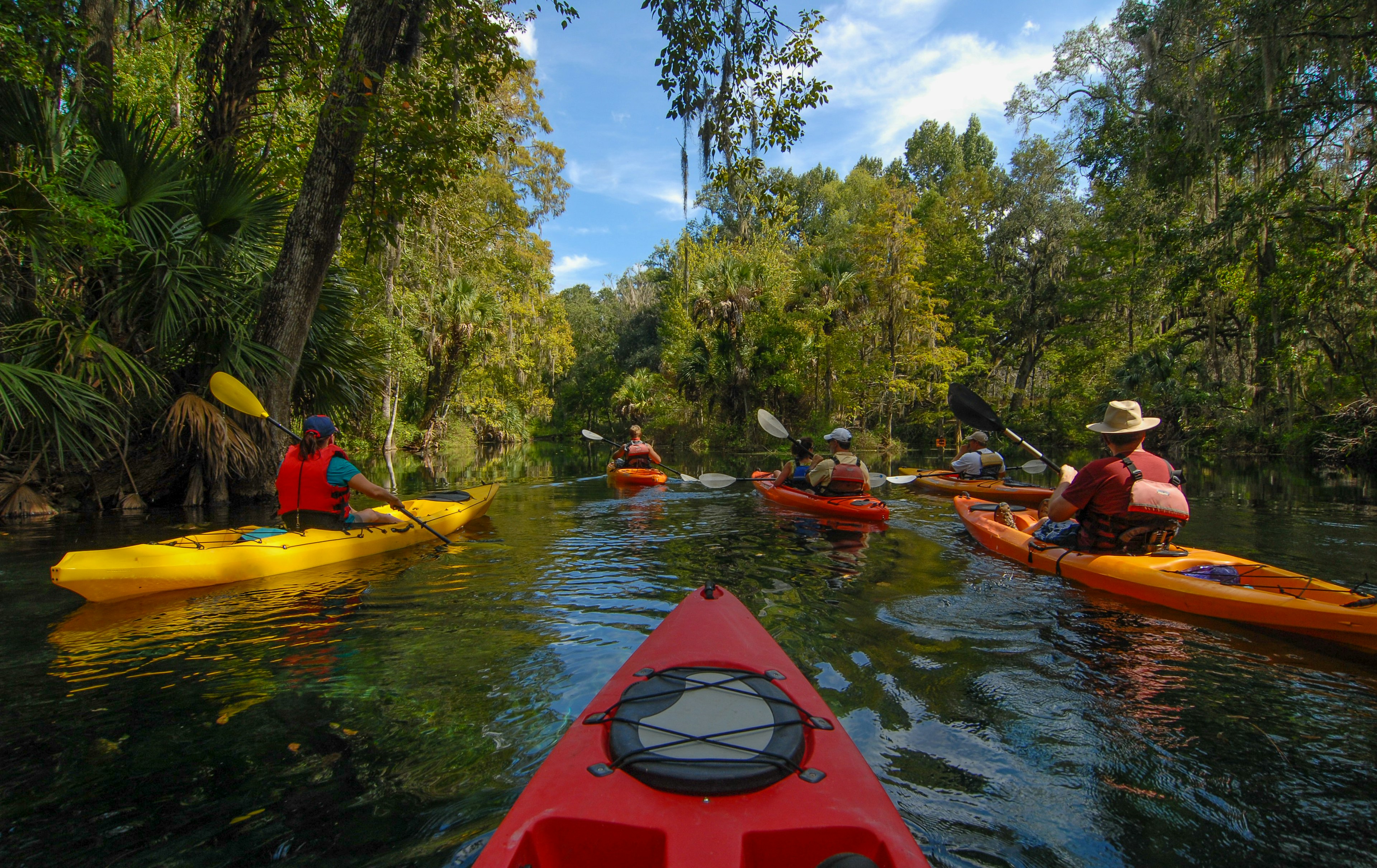 Kayakers paddle down a river