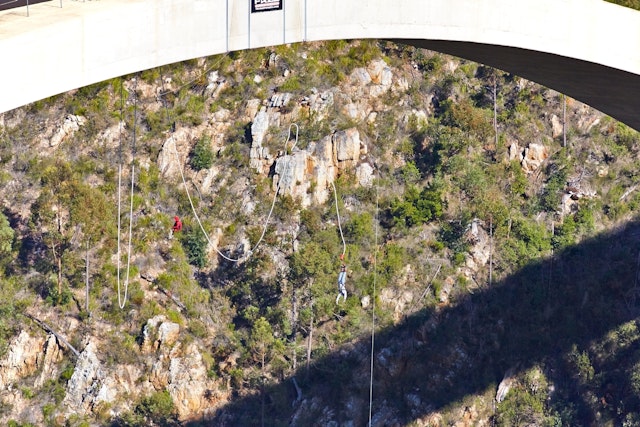 Adventurous people bungee jumping off the Bloukrans Bridge in South Africa