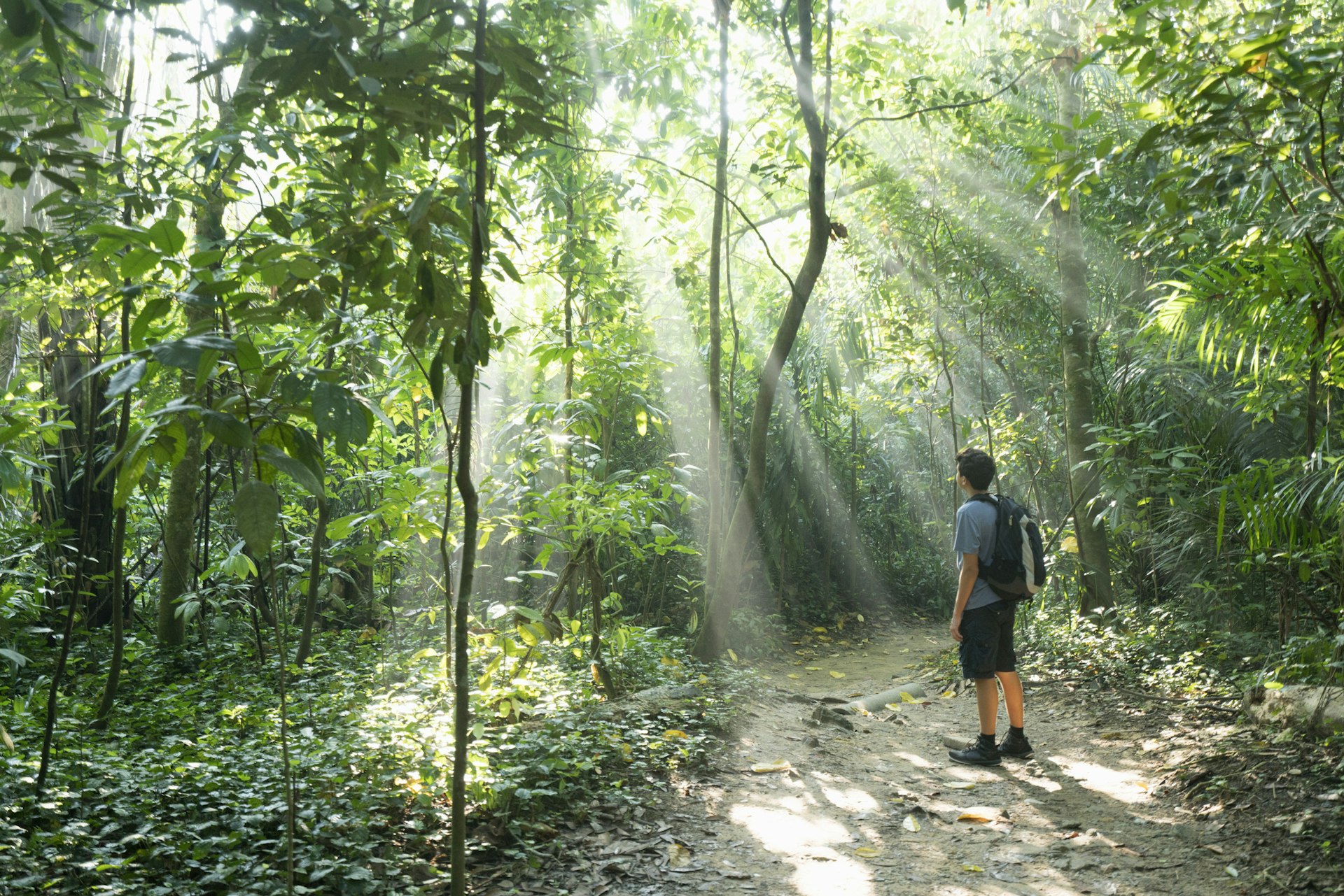 A teenage boy hiking in the rainforest in Singapore
