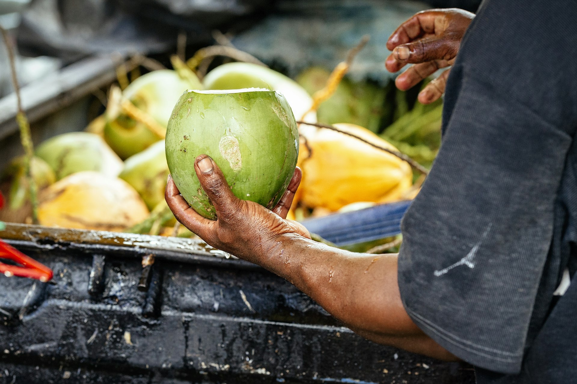 A hand of a coconut seller in St Lucia holds a freshly cut coconut