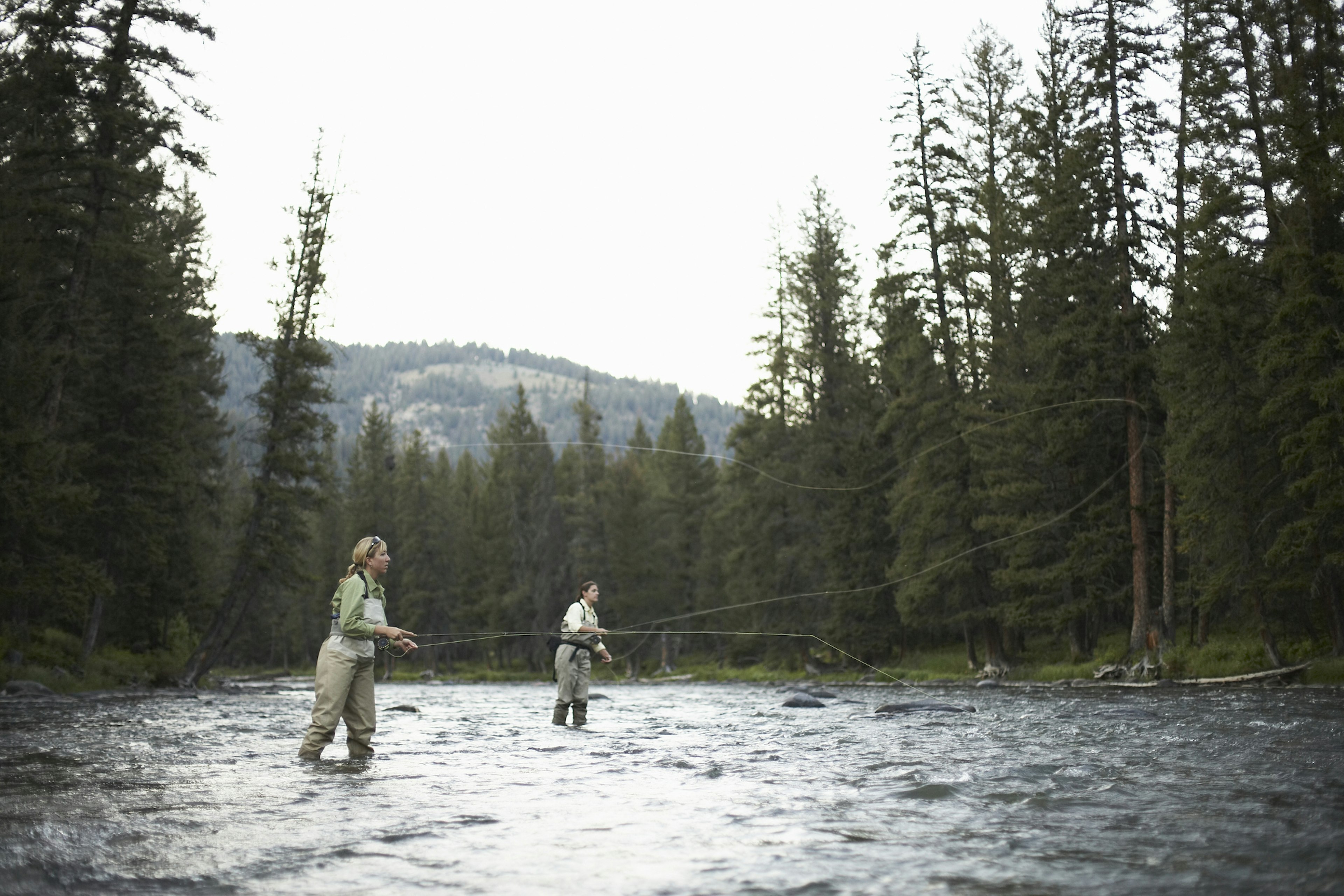 Two anglers fly-fishing in a forested river