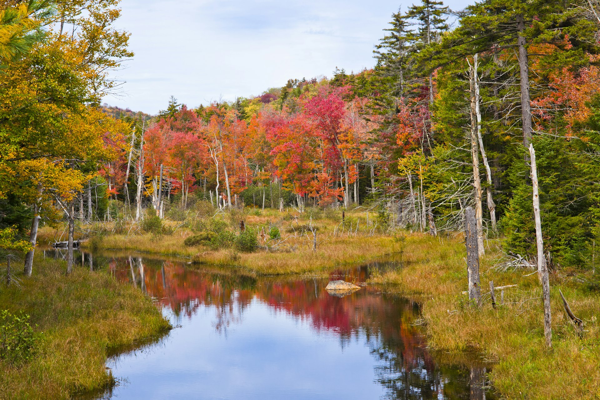 A stream in the Adirondacks in autumn (Fall) colors