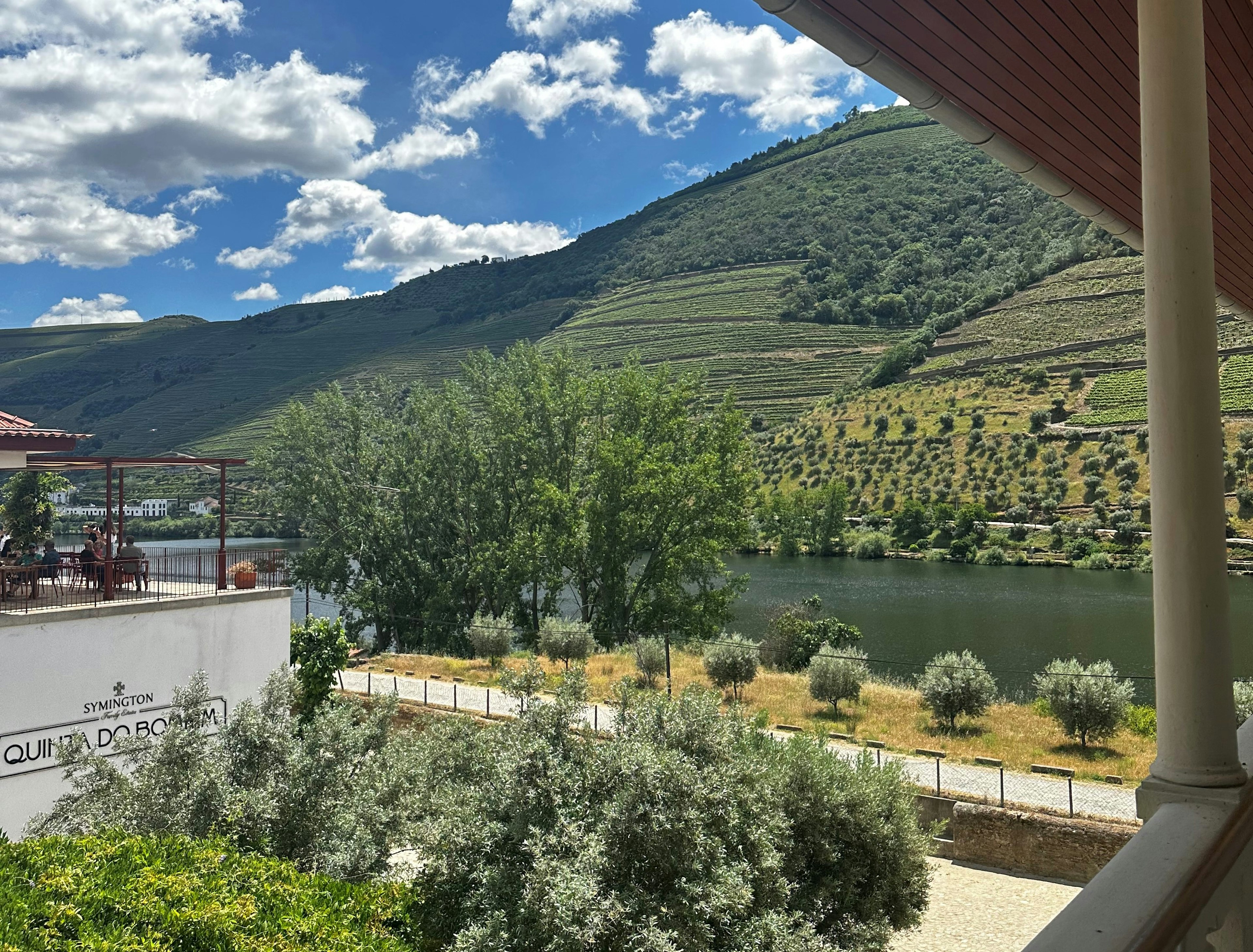 Vineyards of an estate next to a river