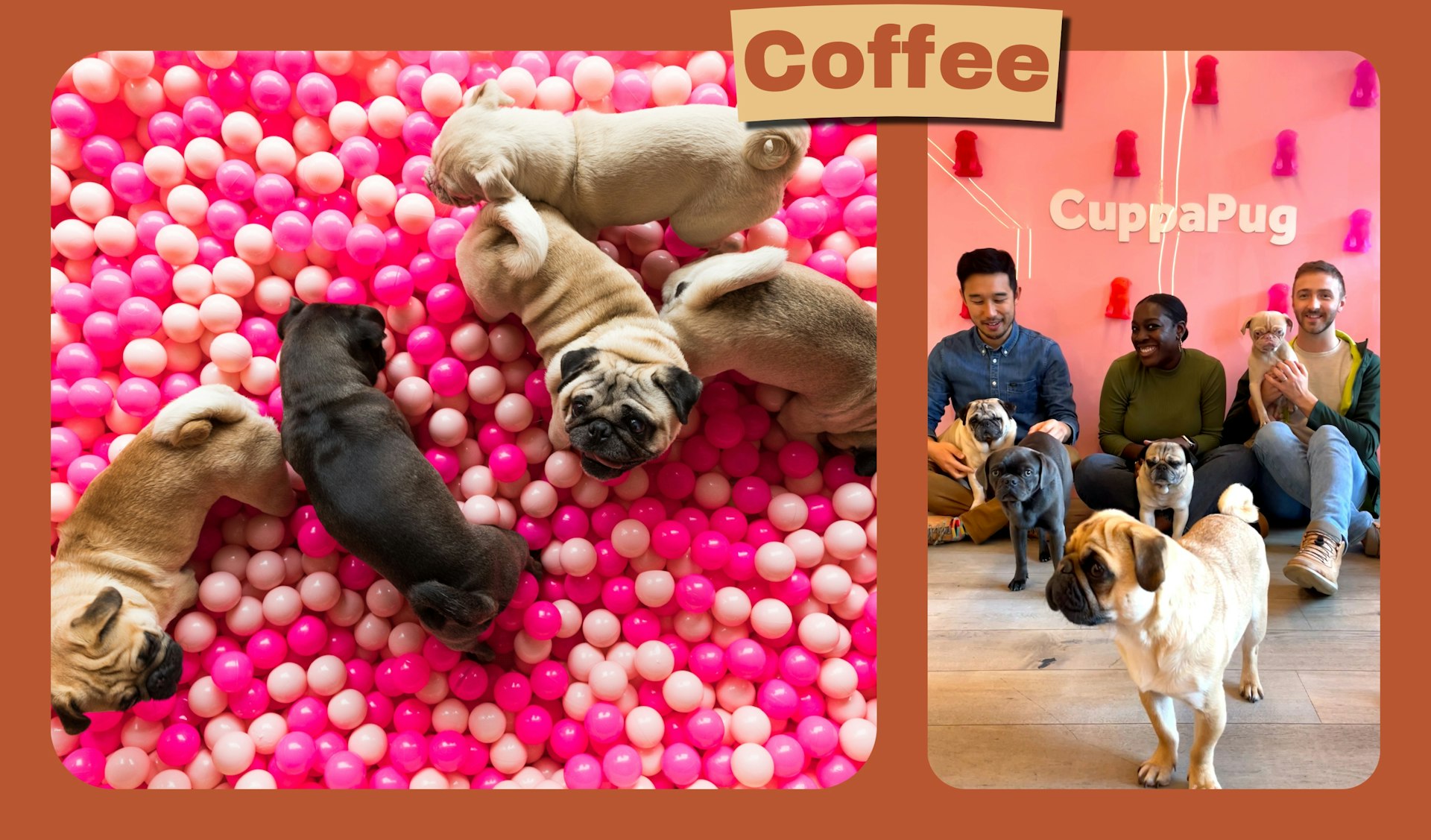 Writer James Wong and friends playing with pugs at Cuppapug, a pug-themed cafe in London