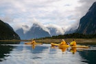 sea kayak in Milford Sound, New Zealand
101662870