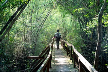 Nam Cat Tien National Park, Dong Nai Province, Vietnam, August 18, 2019: Panoramic image female visitors relaxing on wooden bridge at misty tropical rain forest in Nam Cat Tien nature reserve.