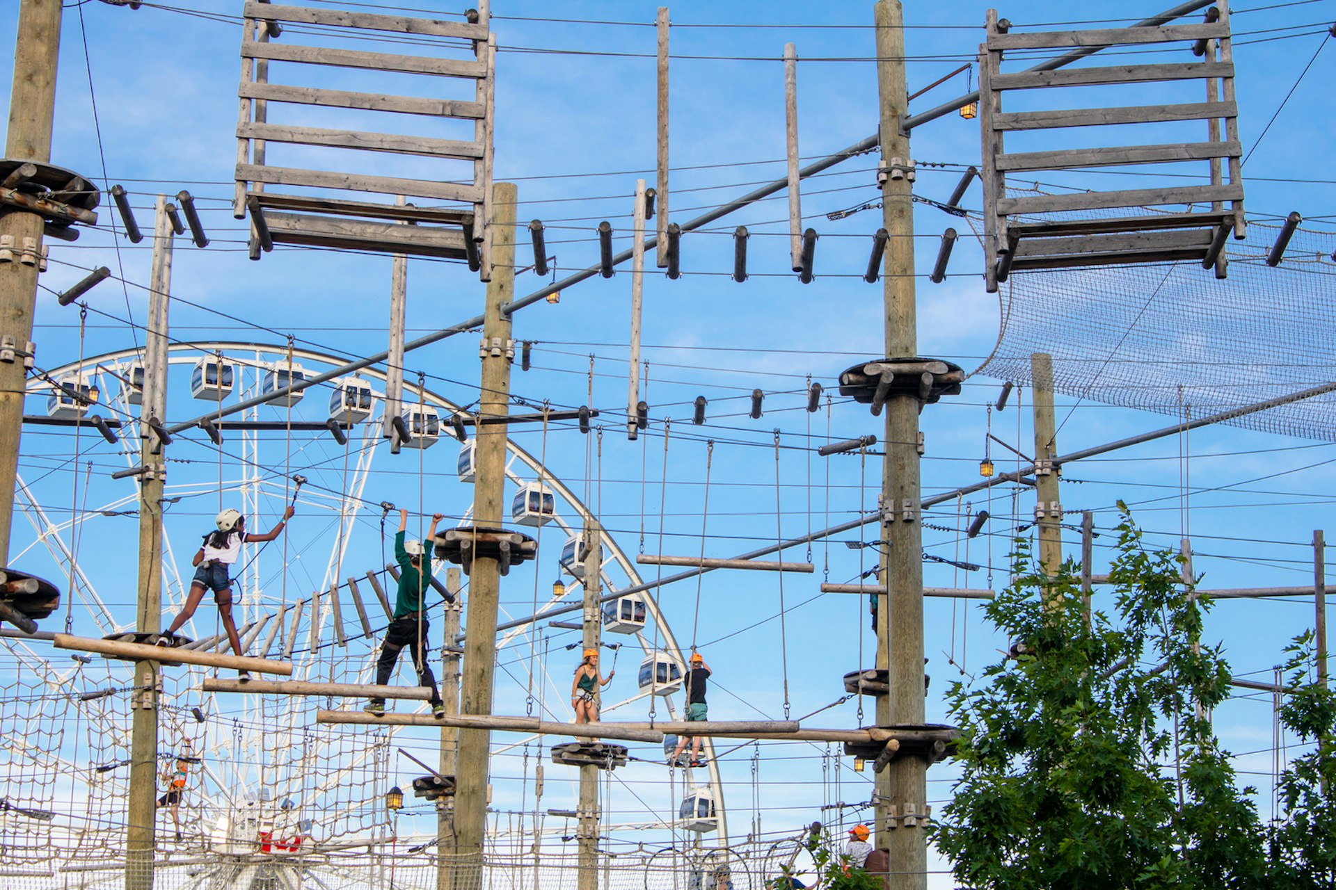 Kids on harnesses negotiate their way over an obstacle course on high-up ropes