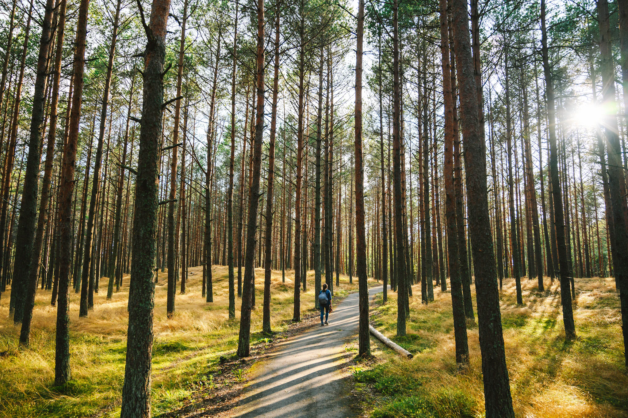 How to hike the Baltic Trails - Lonely Planet