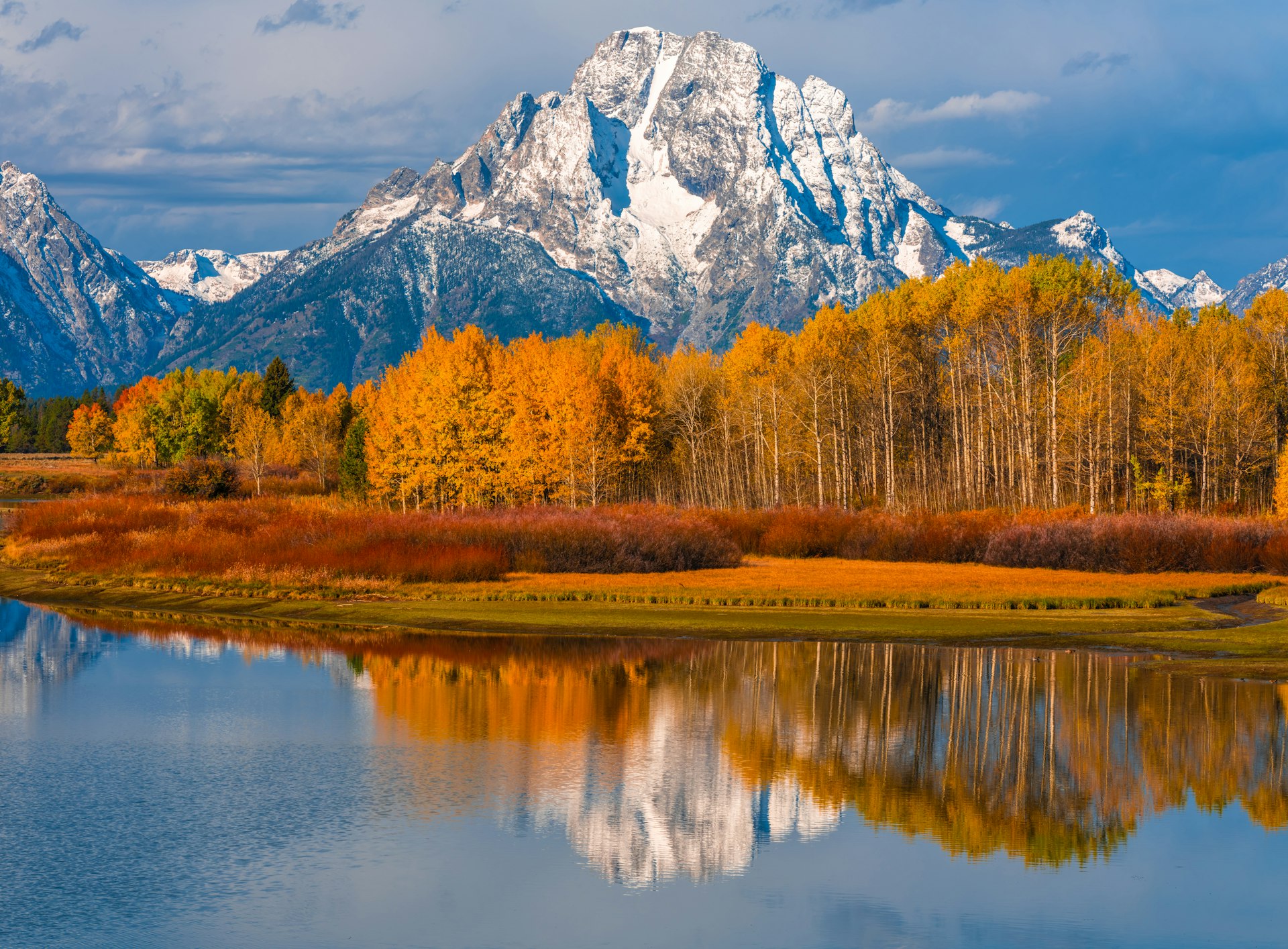  Fall Foliage changes organe and yellow and gold in front of a snow-covered mountain in Grand Teton National Park