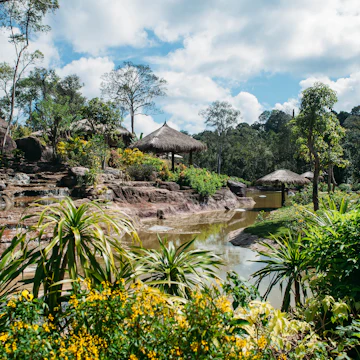Jungle landscape with flowing water at deep tropical rain forest. National Park Phu Quoc Vietnam.
