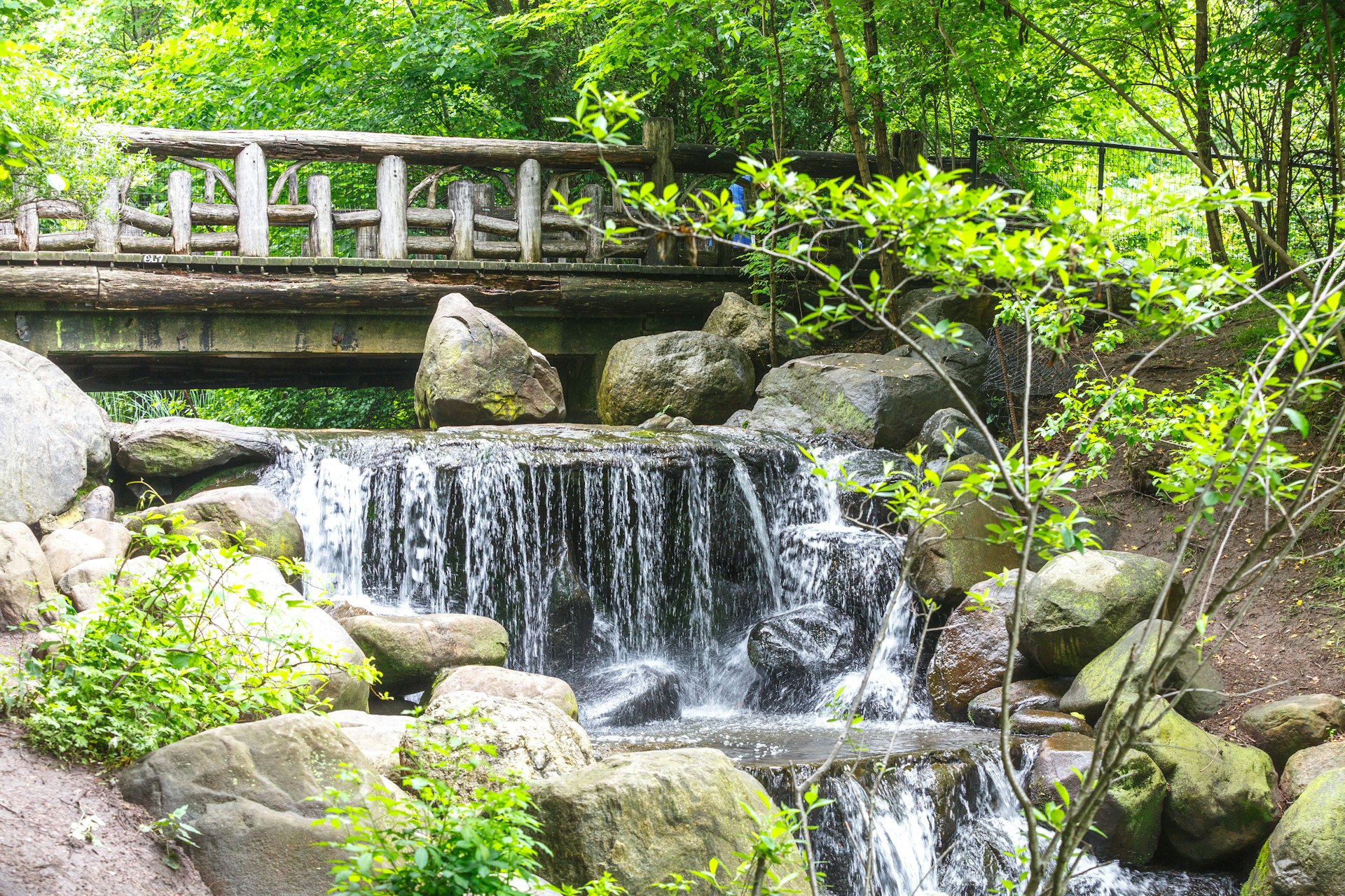 A small waterfall and bridge at Prospect Park in Brooklyn