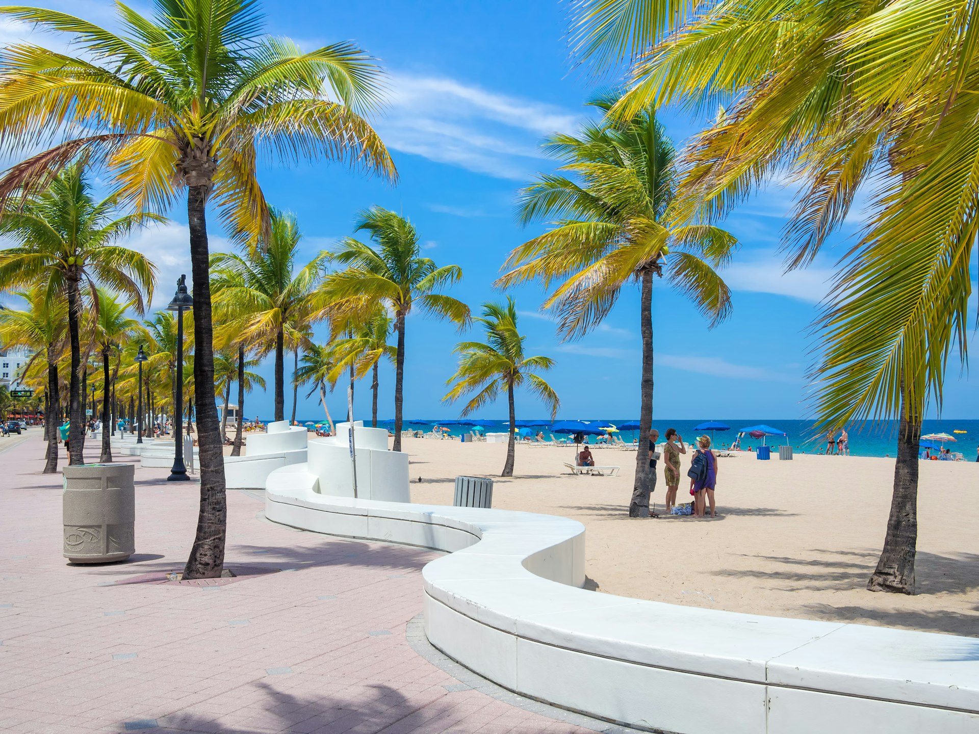 Palm trees shading beachgoers in Fort Lauderdale, Florida