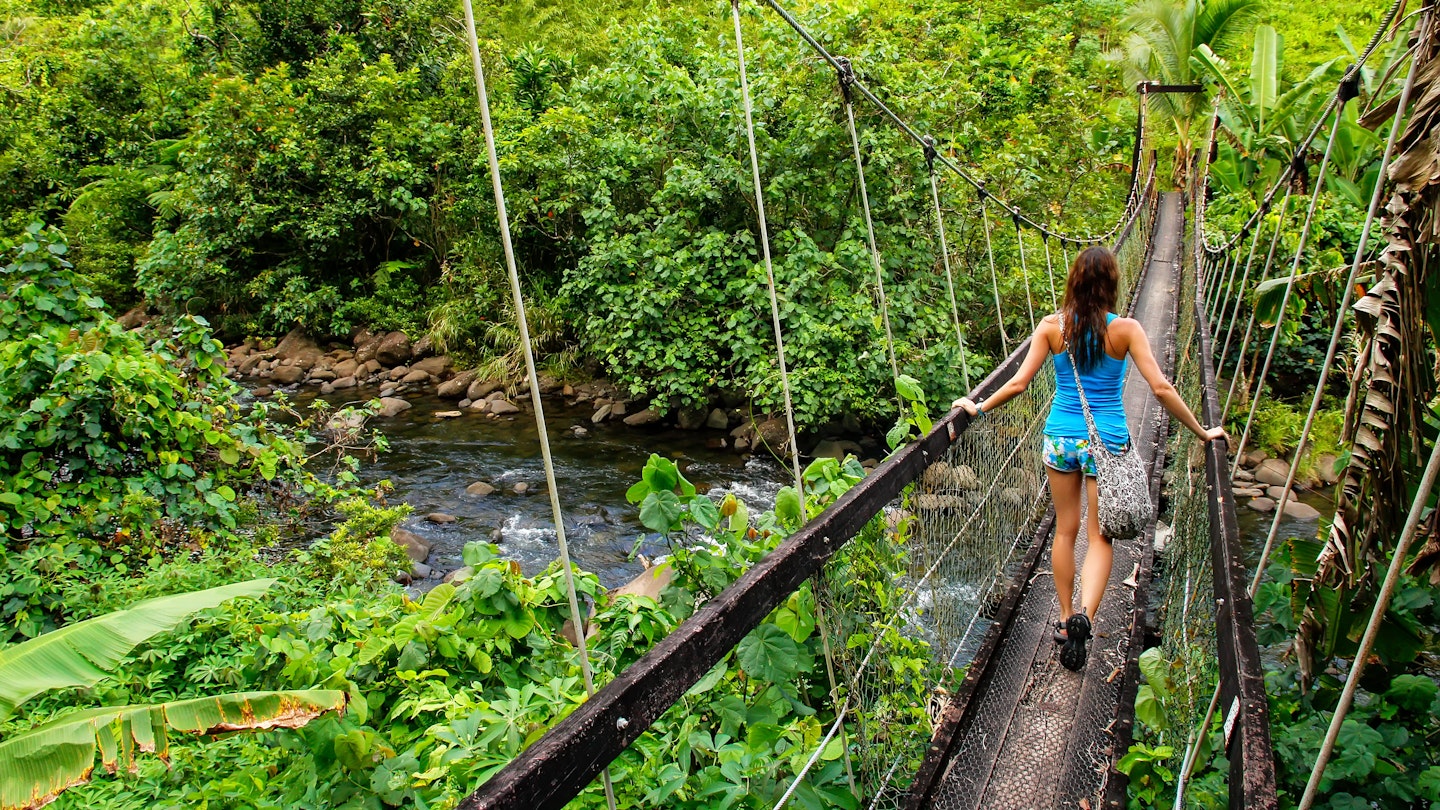 Young woman walking on a suspension bridge over Wainibau stream on the Lavena Coastal Walk.
532856152
hiking, coastal, island, adventure, destination, tropics, oceania, park, national, tropical, river, travel, landmark, suspension, scenery, stream, pacific, walk, paradise, tourist, wood, girl, young, heritage, woman, person, outdoors, scenic, tourism, wooden, water, bridge, nature, vacation, construction, lavena, suspended, structure, landscape, fiji, ocean, jungle, taveuni, wainibau, rainforest, bouma, south, levu, vanua