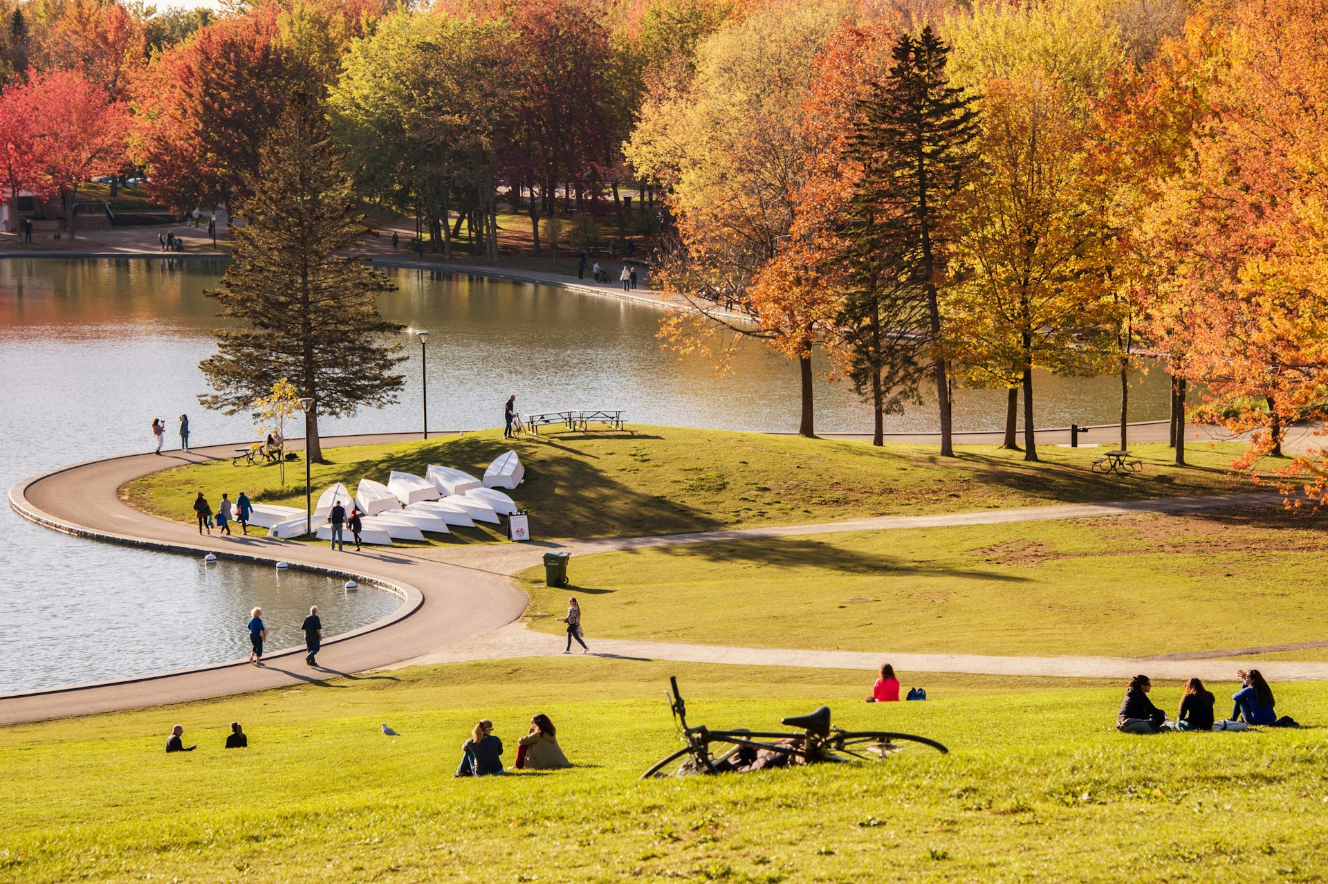 People in small groups sit together or play in parkland in autumn
