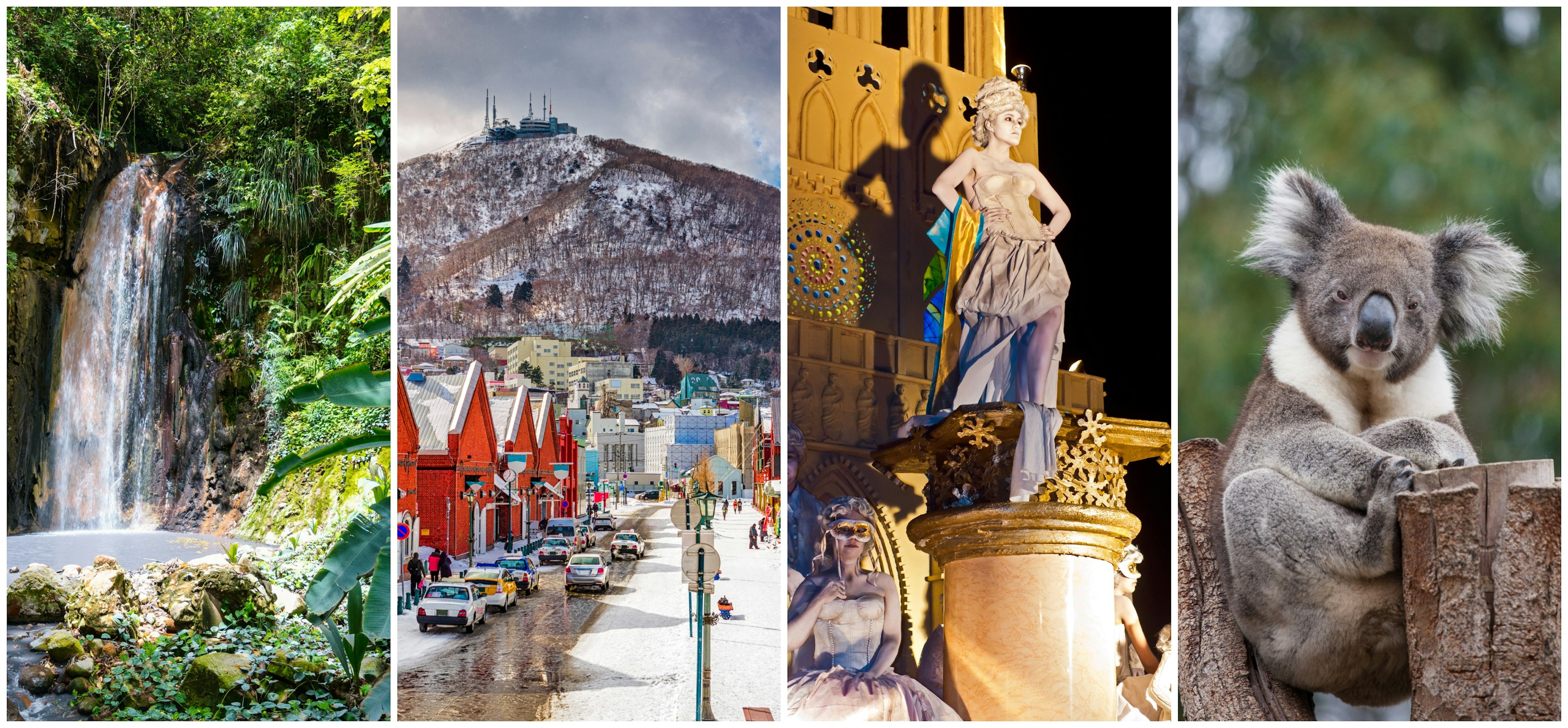 Waterfall in St Lucia; a snow and ice-covered harbor with colorful buildings in Hokkaido; women in costume celebrate Mazatlan's Carnival and a koala hugging a tree on Kangarro Island