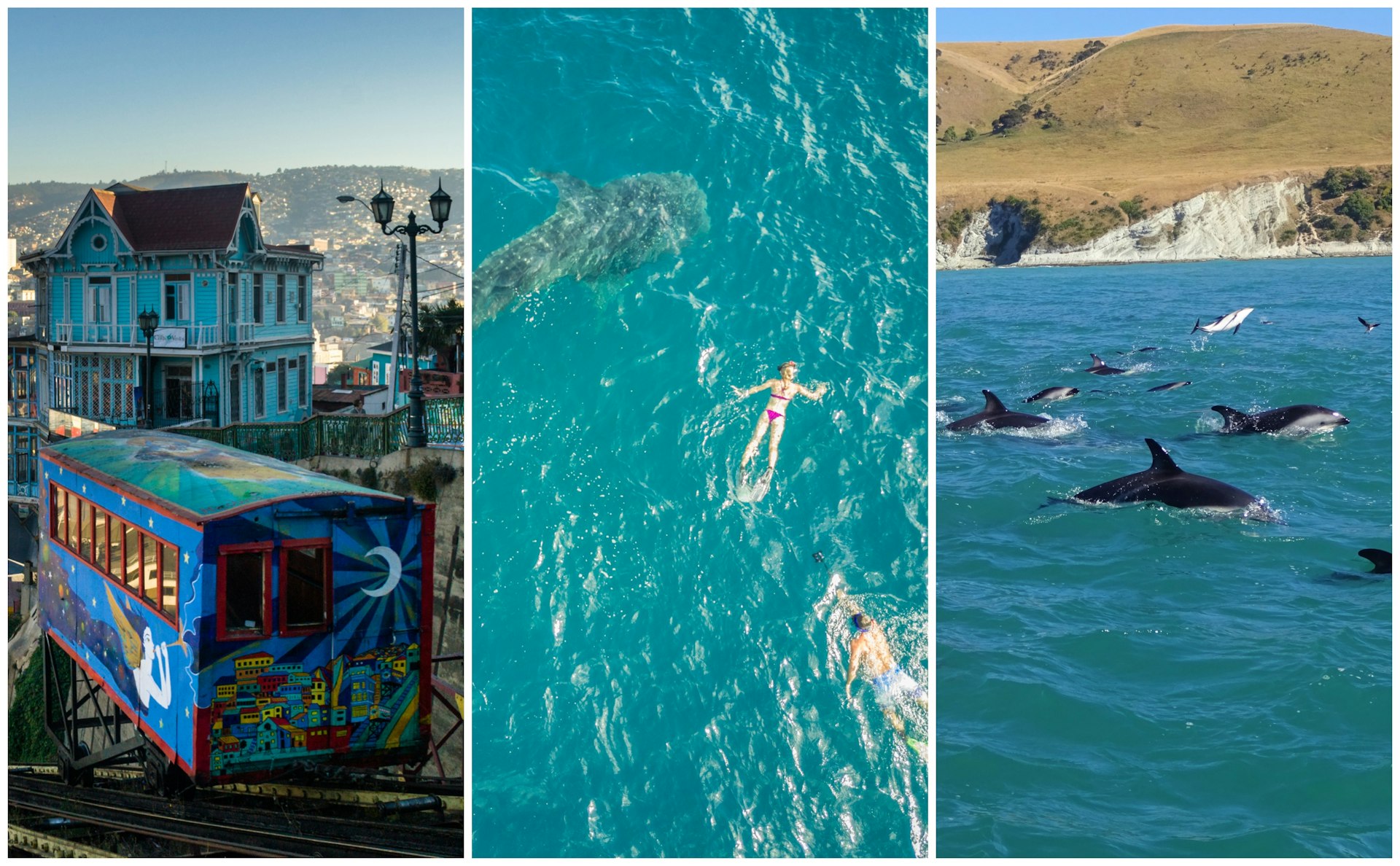Colorful buildings in Santiago, Chile; swimmers in the water of Mafia Island, Tanzania; dolphins in South Island, New Zealand