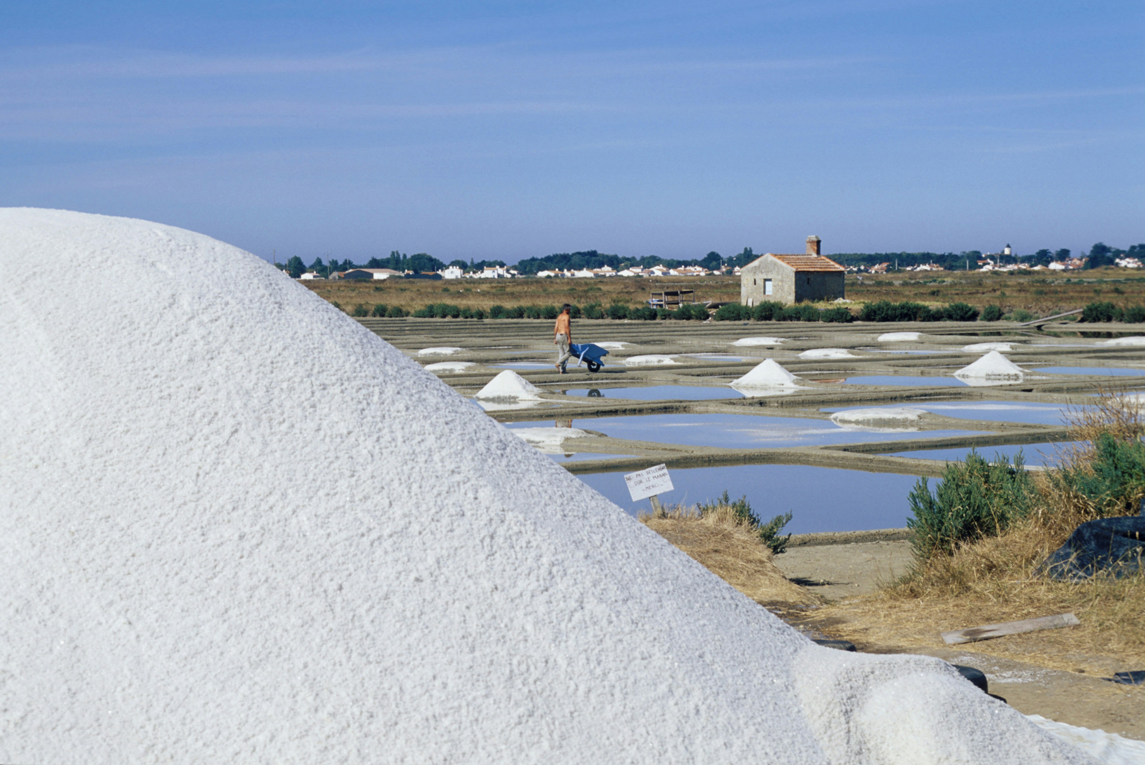 A workman pushes a wheelbarrow past the salt pans of Noirmoutier with a huge mound of salt in the foreground