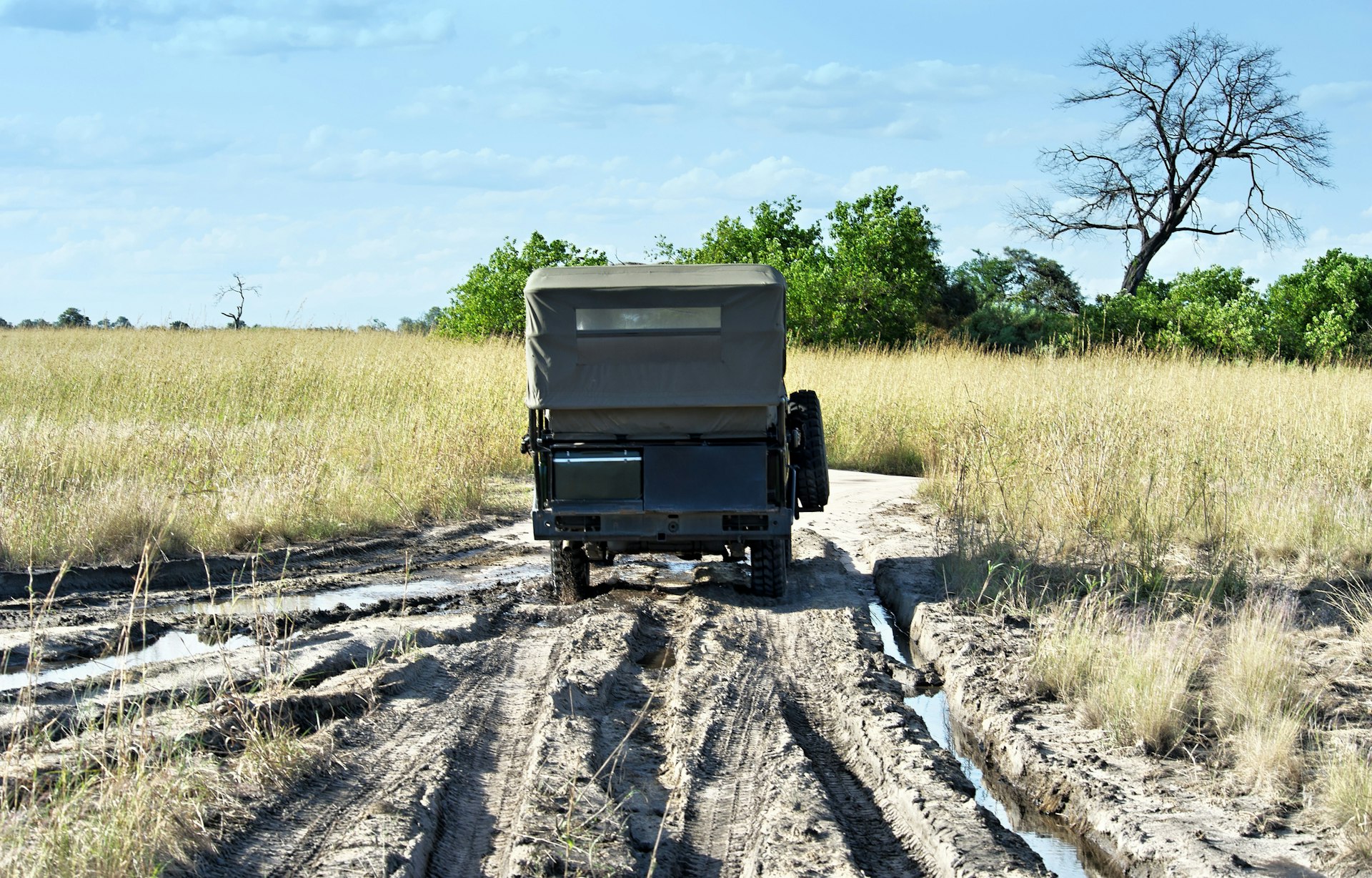 Rear view of a four wheel safari vehicle driving on a dirt road with tire tracks during  a game drive in the Selinda Concession at the end of the rainy season.