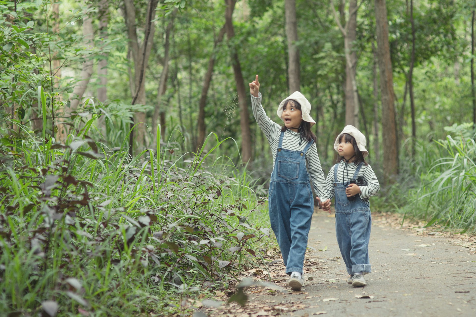 Children are heading to the family campsite in the forest Walk along the tourist route.