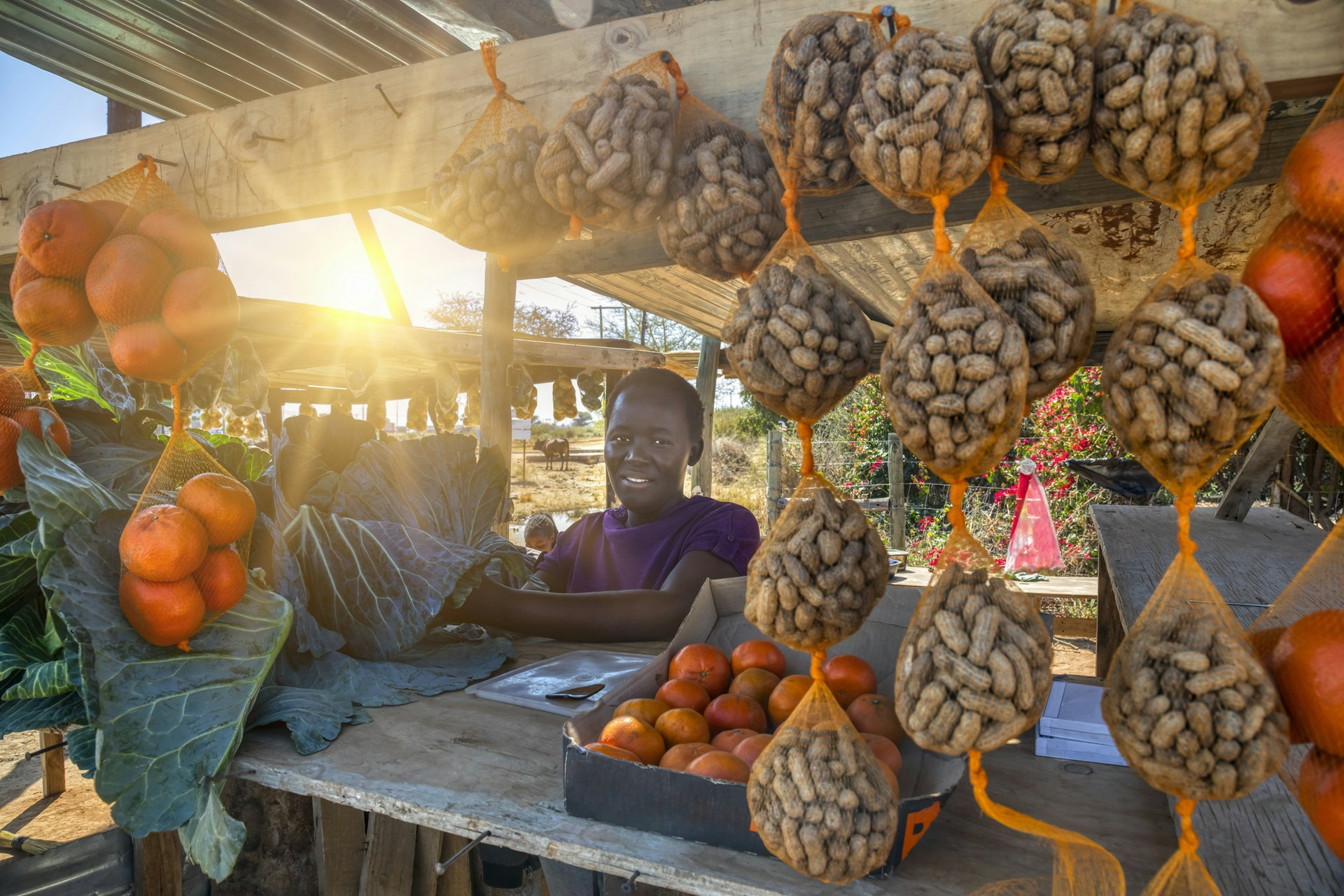 Happy African street vendor in Botswana smiling at a customer, shack with vegetables and fruits