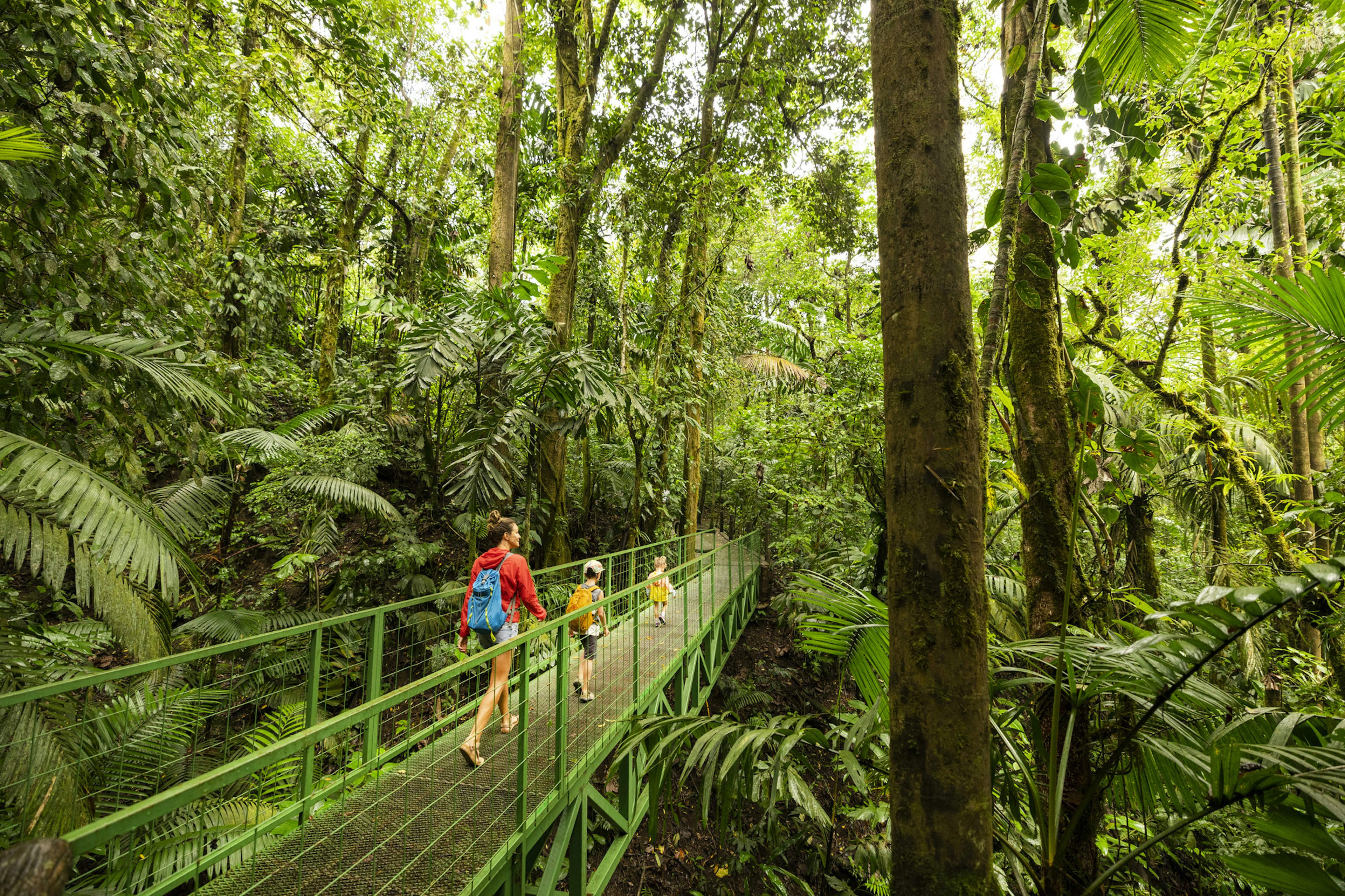 A mother with two young children walk along a bridge through the treetops in a jungle