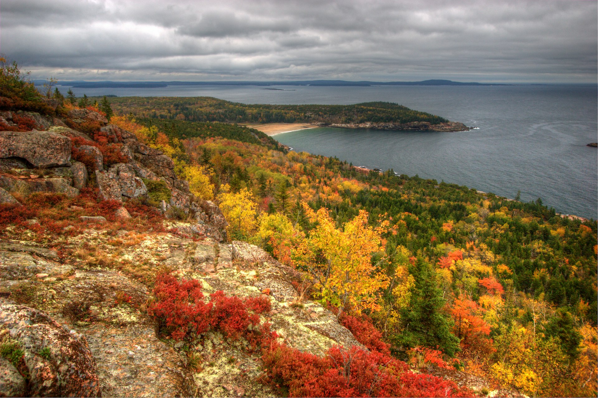 Fall foliage seen from the top of Gorham Mountain, Acadia National Park, Maine, USA