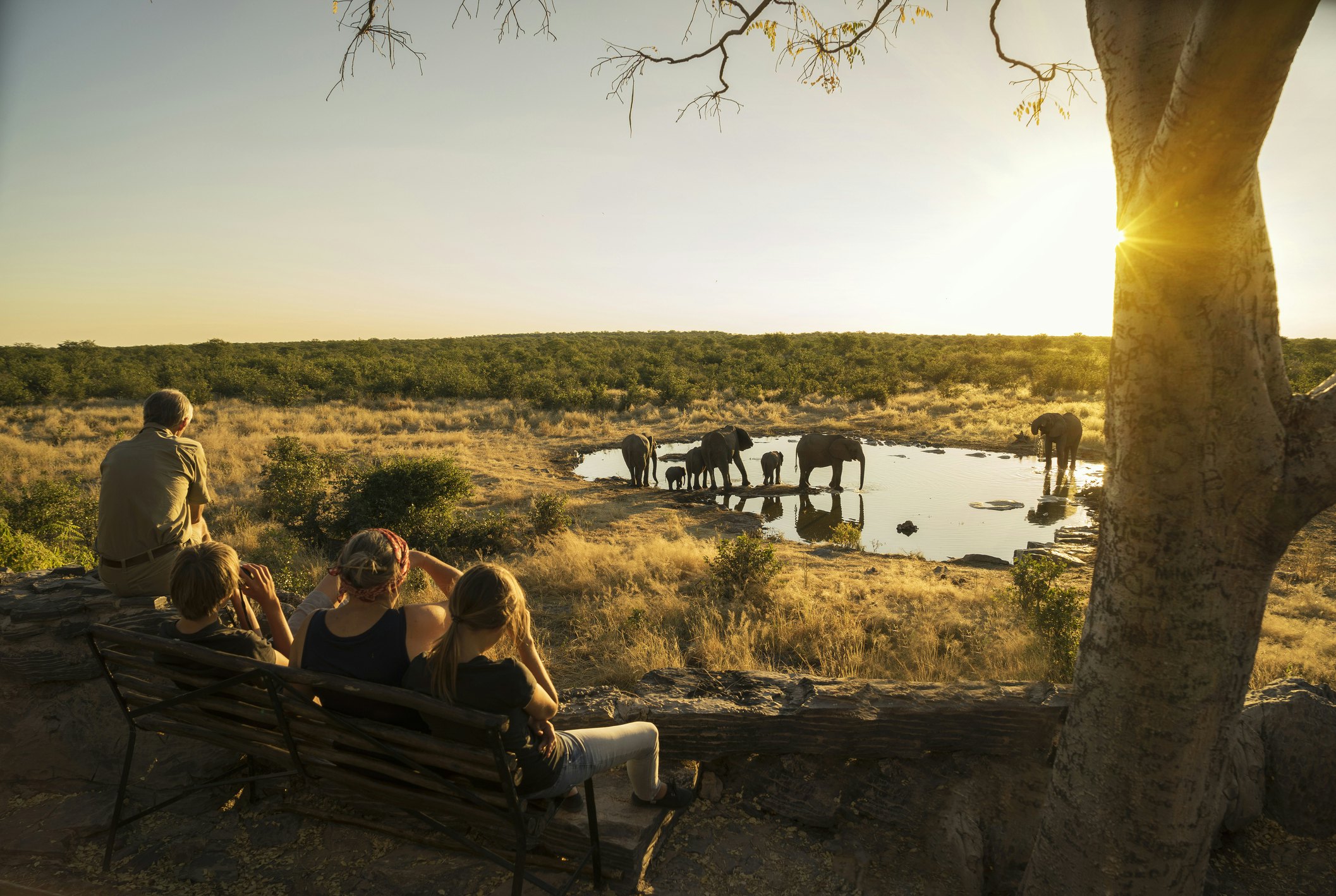 A group of tourists watching elephants drink at a watering hole in Namibia