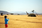 A four year old tourist boy in blue sweater, red shorts and a safari hat is holding binoculars as he is watching African animals on safari in Southern Africa. Two giraffes and an oryx are seen in the distance as they are walking through a beautiful savannah landscape in Namibia.
539272307
Safari Animals, Travel, People Traveling, Tourism, Oryx, Boys, Explorer, Pith Helmet, Safari, Gemsbok, Child, Watching, Looking, Hat, One Person, Curiosity, Adventure, Exploration, Vacations, Nature, Tourist, People, Namibia, Southern Africa, Africa, Giraffe, Animal, Plain, Savannah, Landscape, Binoculars