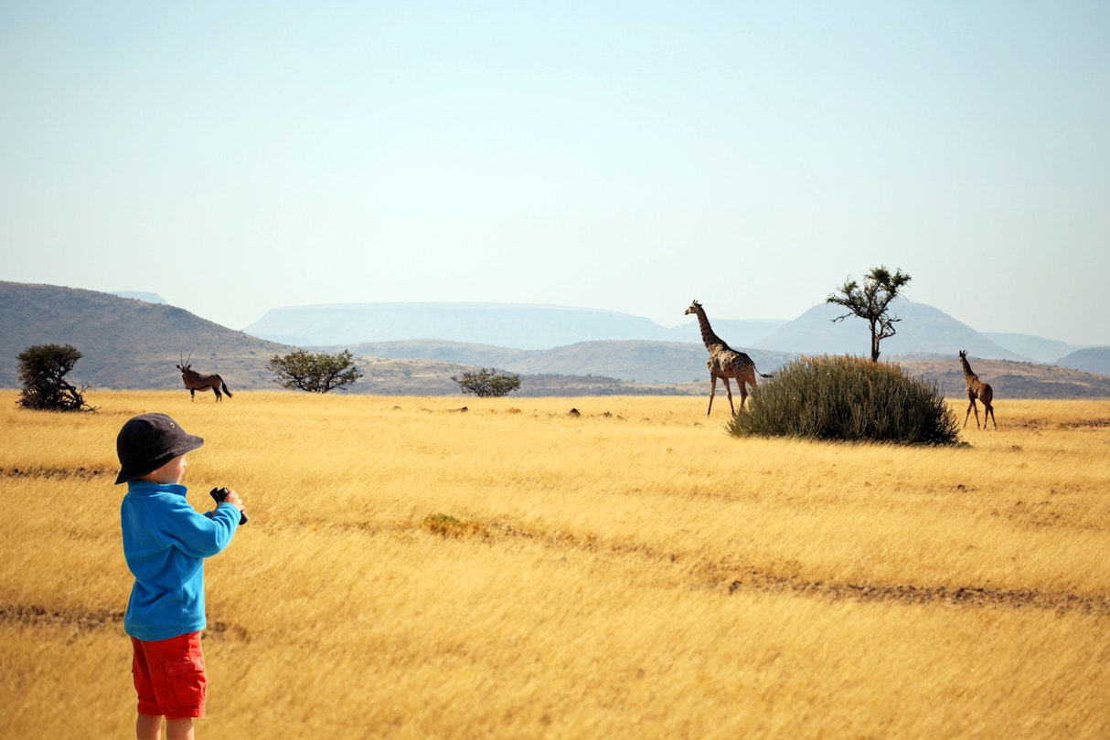 A four year old tourist boy in blue sweater, red shorts and a safari hat is holding binoculars as he is watching African animals on safari in Southern Africa. Two giraffes and an oryx are seen in the distance as they are walking through a beautiful savannah landscape in Namibia.
539272307
Safari Animals, Travel, People Traveling, Tourism, Oryx, Boys, Explorer, Pith Helmet, Safari, Gemsbok, Child, Watching, Looking, Hat, One Person, Curiosity, Adventure, Exploration, Vacations, Nature, Tourist, People, Namibia, Southern Africa, Africa, Giraffe, Animal, Plain, Savannah, Landscape, Binoculars