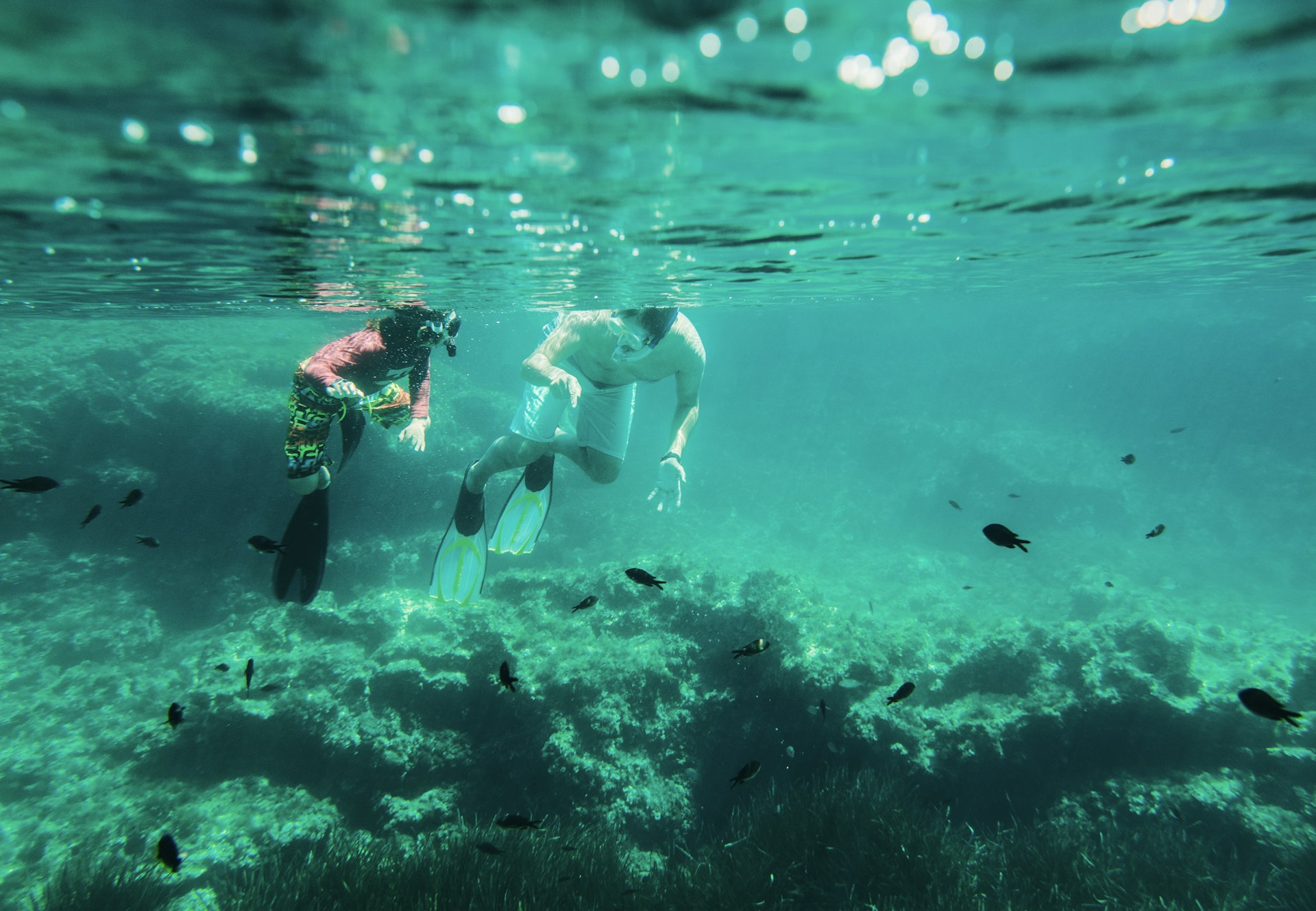 A father and son snorkel in the reef off the coast of the Balearic Islands in Spain