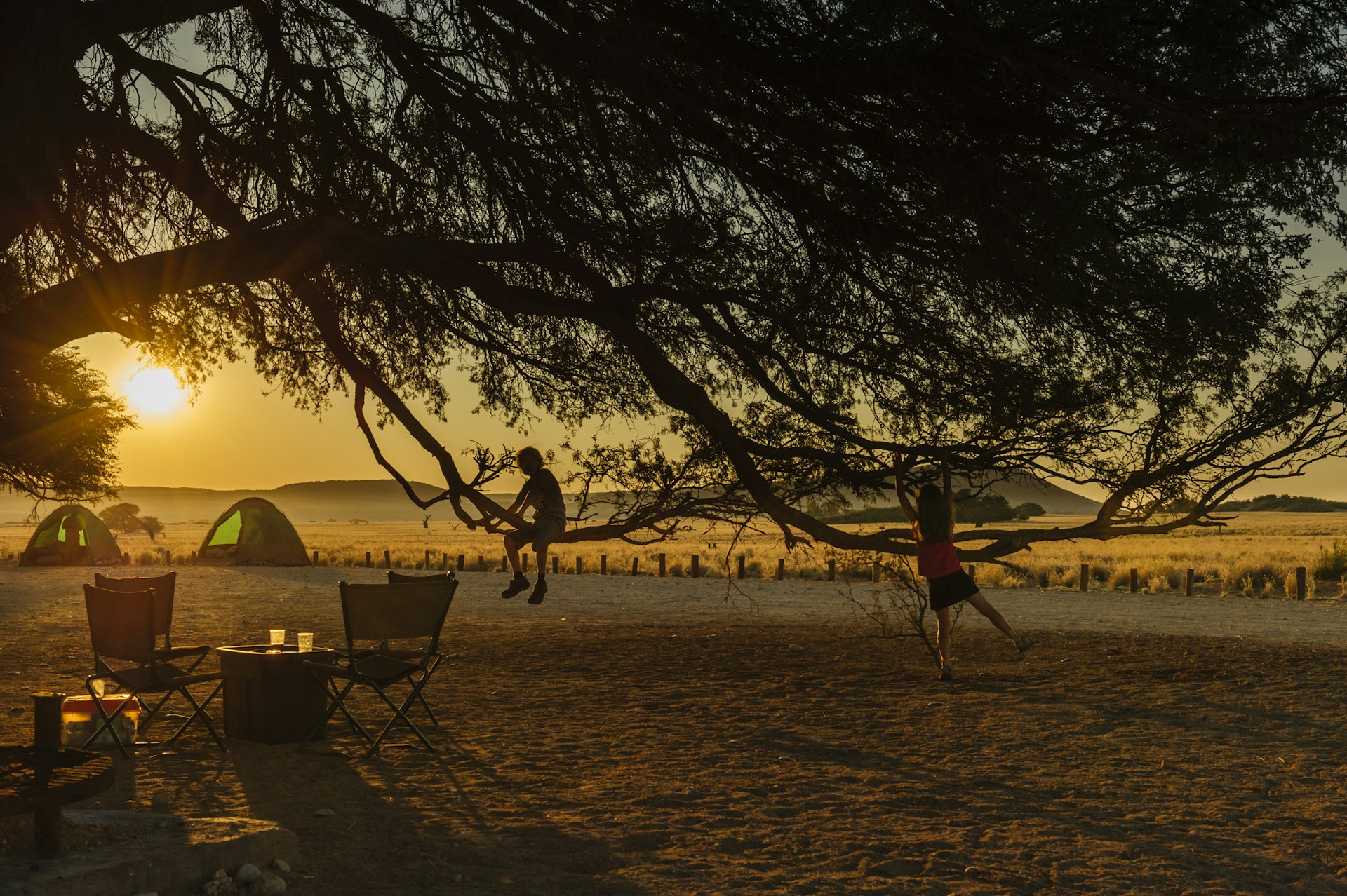 Two children in silhouette dangle from a tree at a campsite in a national park as the sun sets