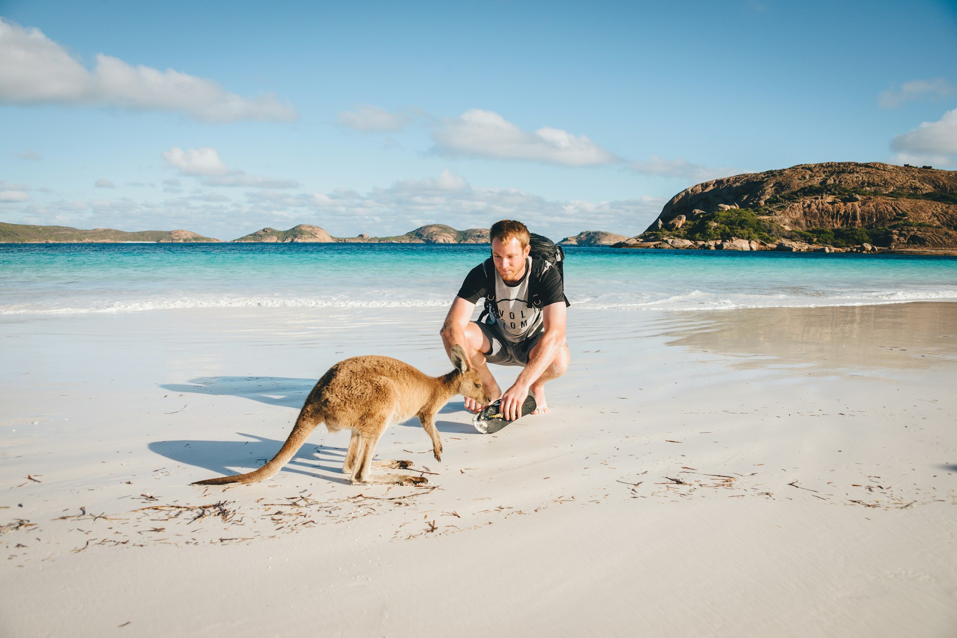 A man peers at a kangaroo that is snuffling about on a sandy beach