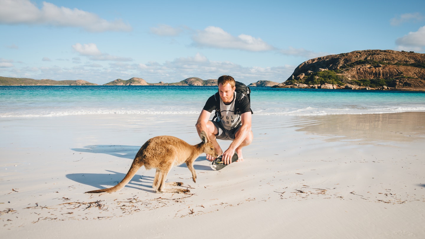 Tourist petting a Kangaroo at Lucky Bay in the Cape Le Grand National Park near Esperance, Western Australia
640229894
Tourist attraction, backpackers, backpacking, destination, holiday, lucky bay, petting, scenery, scenic, tourists, traveller, travellers, trip, vacation