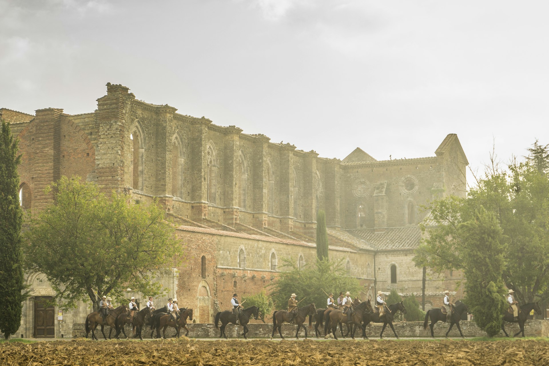 Transumando, uma evocação da antiga tradição da transumância, viajando a cavalo e conduzindo o gado pastando pela zona rural da Toscana