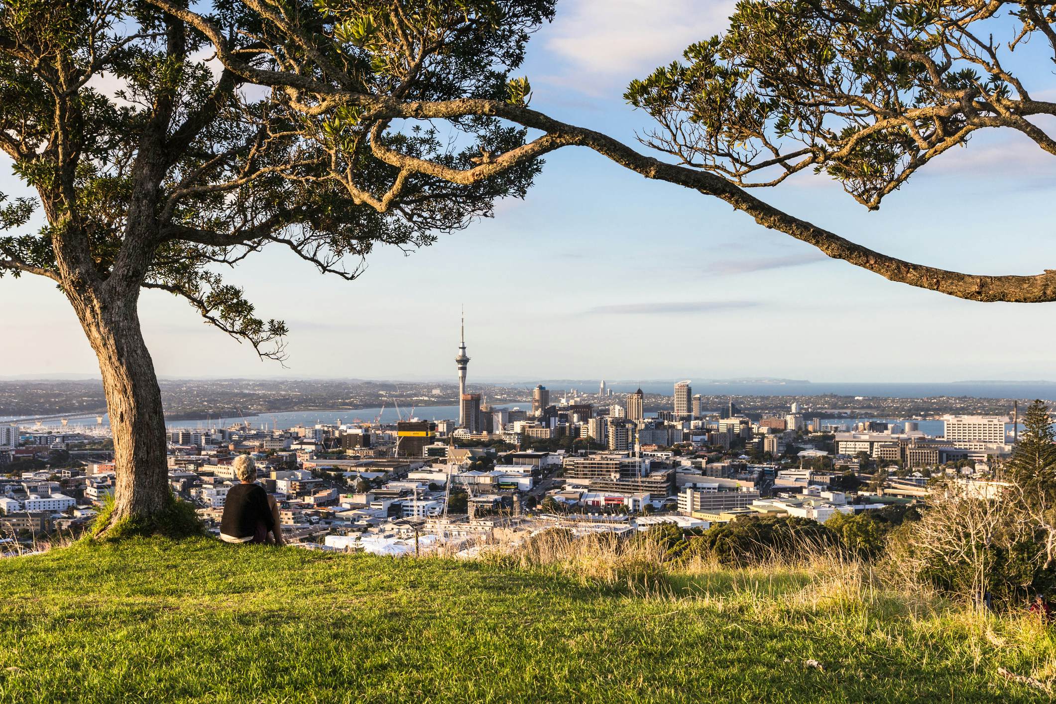 Auckland Museum has got it in the bag this winter