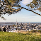 Stunning view of Auckland central business district, with its communication tower, from the top of Mount Eden at sunset. Auckland is New Zealand largest city.
646747538