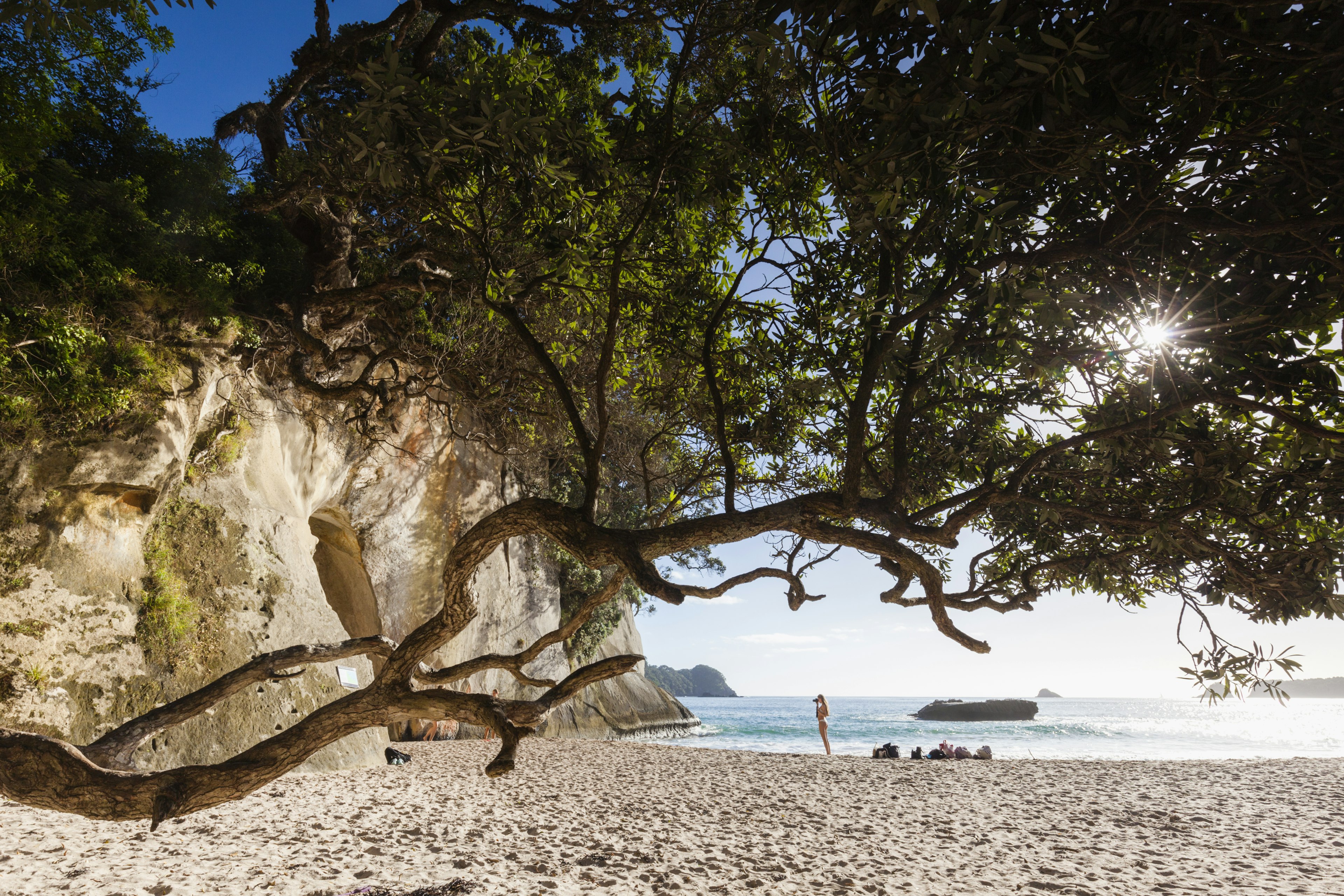 Gorgeous beaches of the Coromandel Peninsula