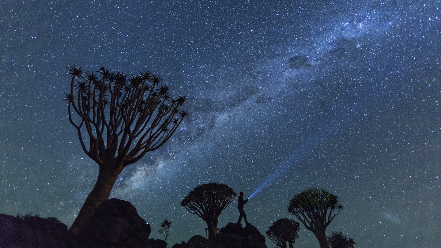 Wide-angle, nighttimeâ€‹ view of the milky way, silhouetted quiver trees and person shining flashlight into the night sky
Wide-angle, nighttime​ view of the milky way, silhouetted quiver trees and person shining flashlight into the night sky
902886836