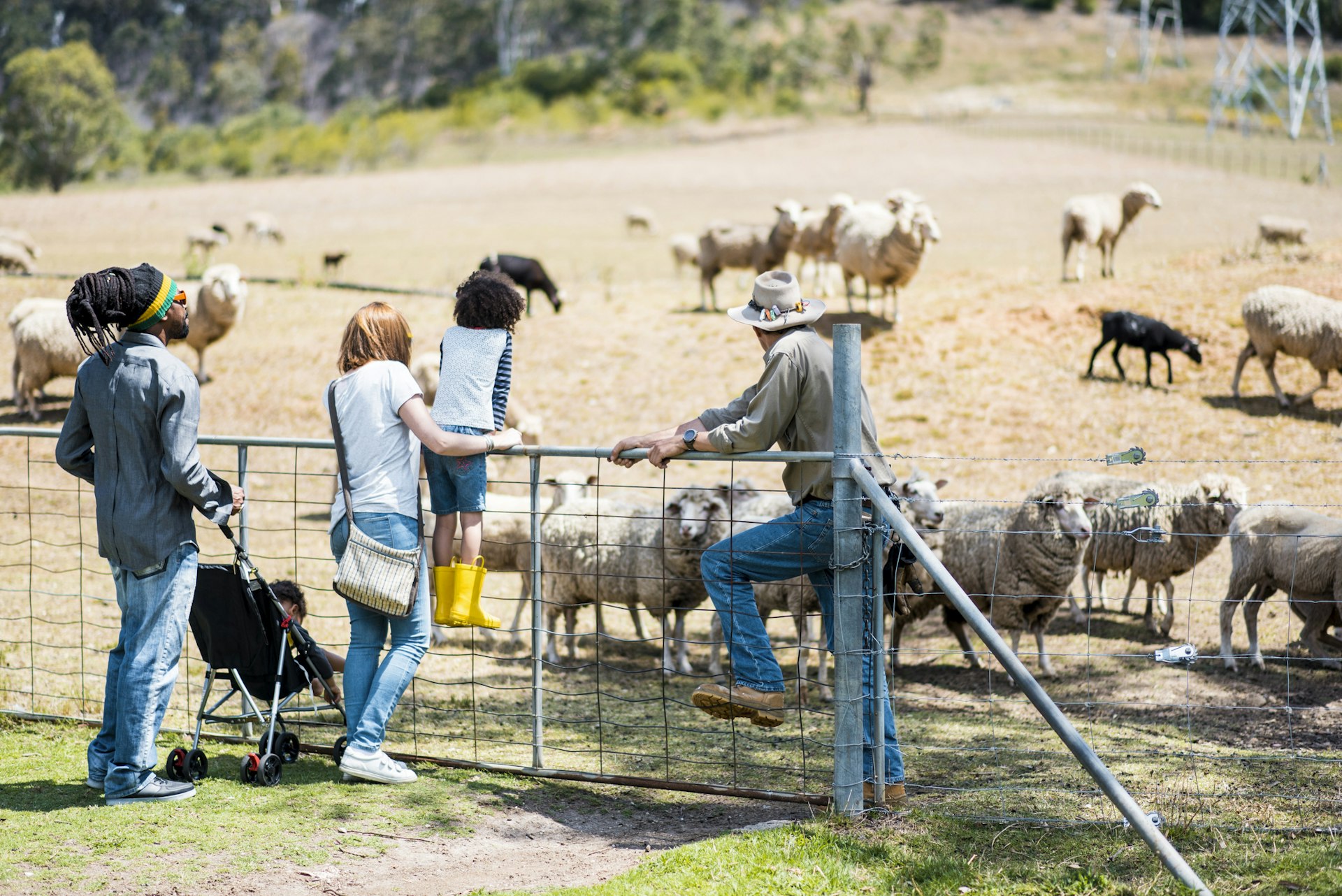 Family and a farm worker explore a farm with many sheep in a field
