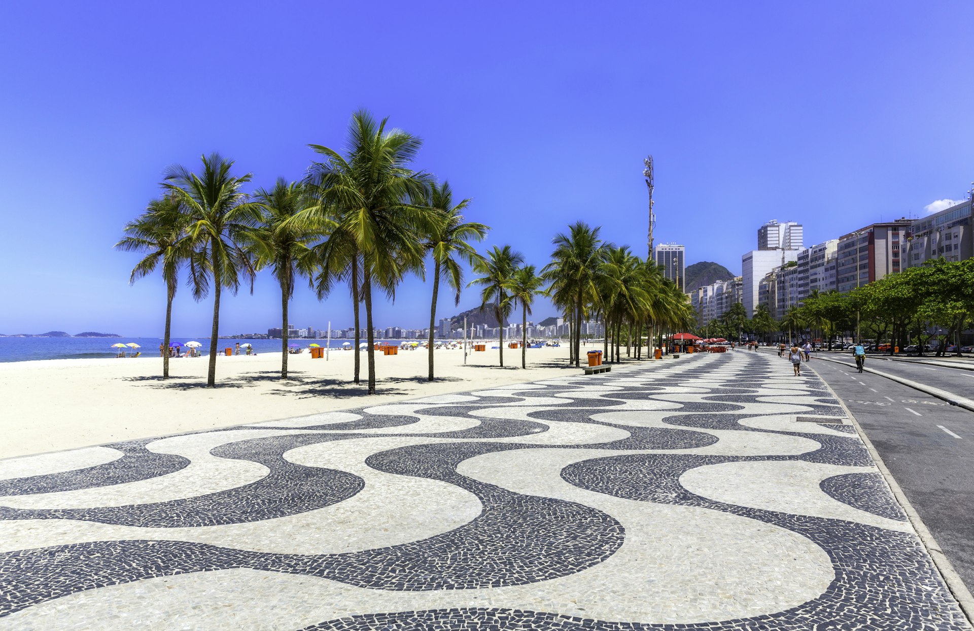 A walkway with palm trees along Copacabana Beach, Rio de Janeiro, Brazil