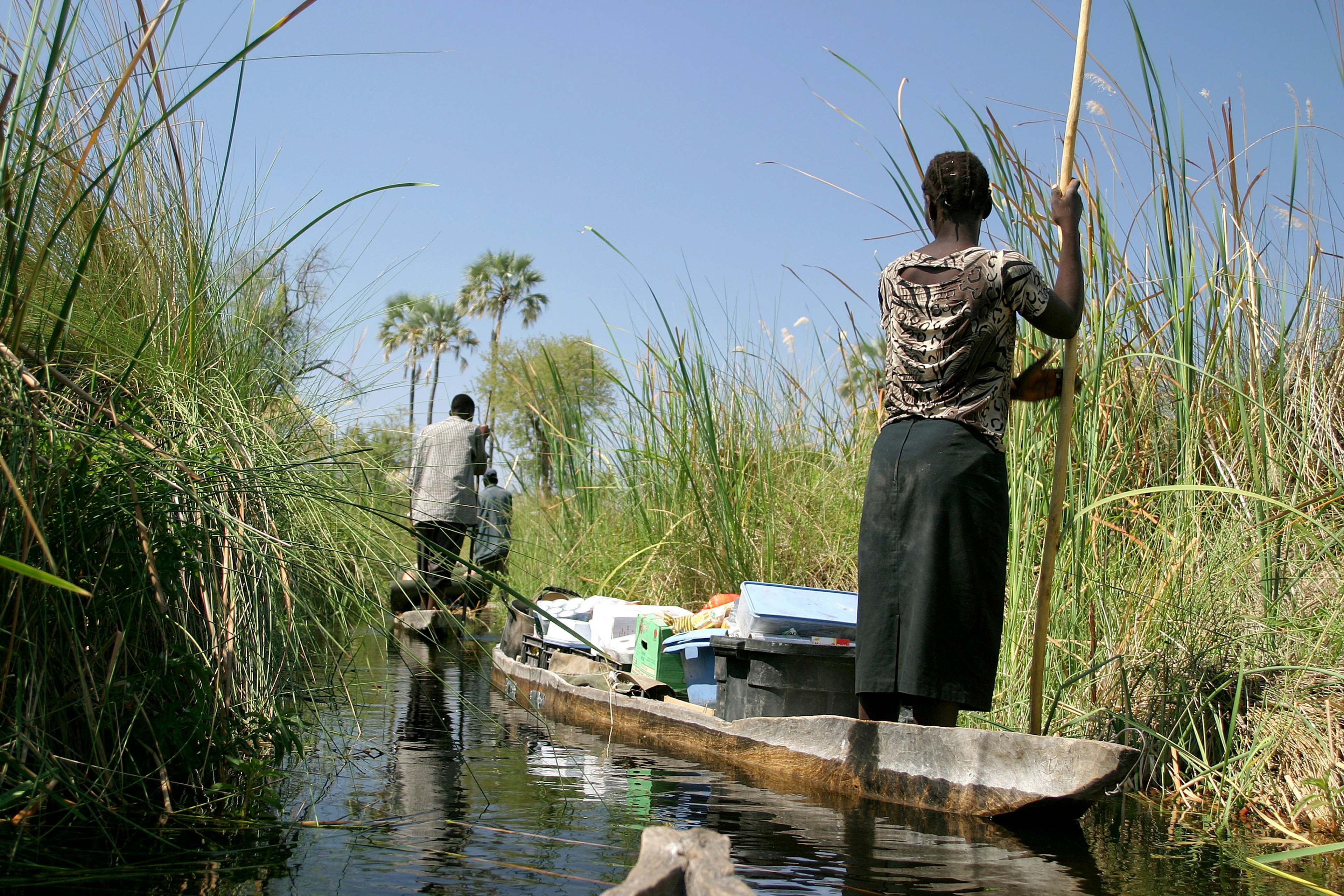 Two mokoro canoes glide through the high grasses of the Okavango Delta with supplies on board