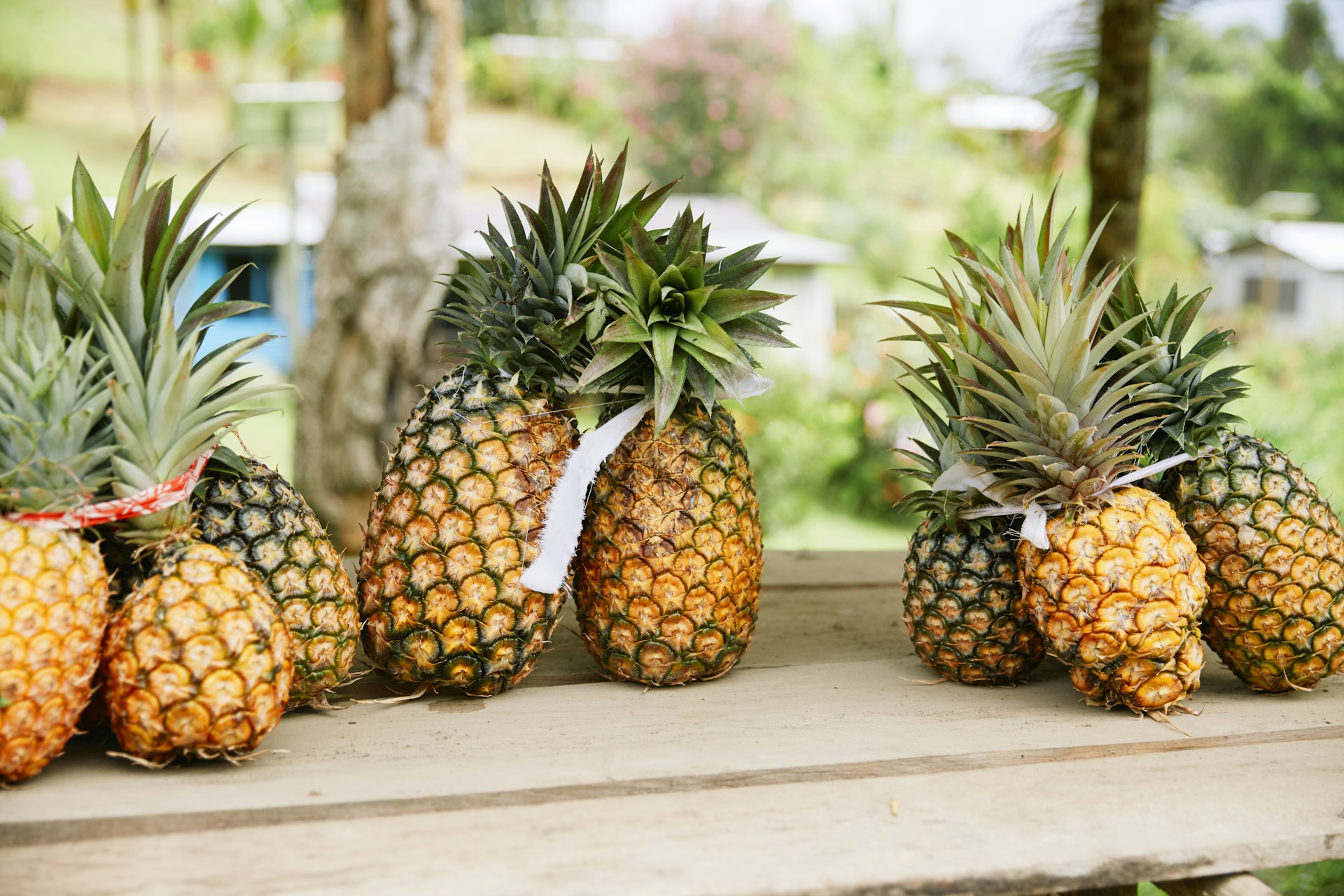 Pineapples at a roadside stall, Savusavu, Fiji 