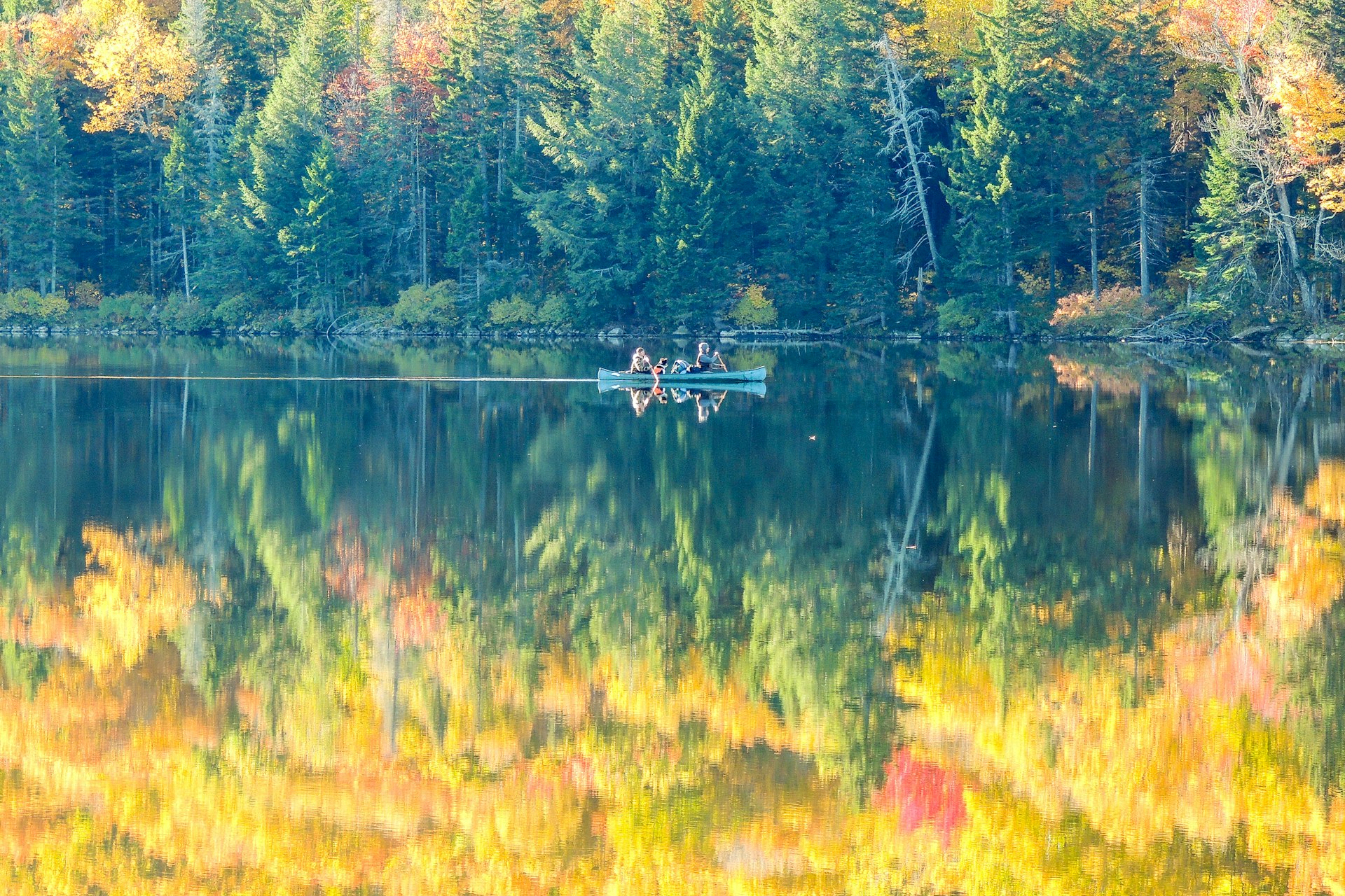 A canoe paddles through a bright yellow reflection of fall foliage on a Grout Pond in the Green Mountain National Forest in Vermont
