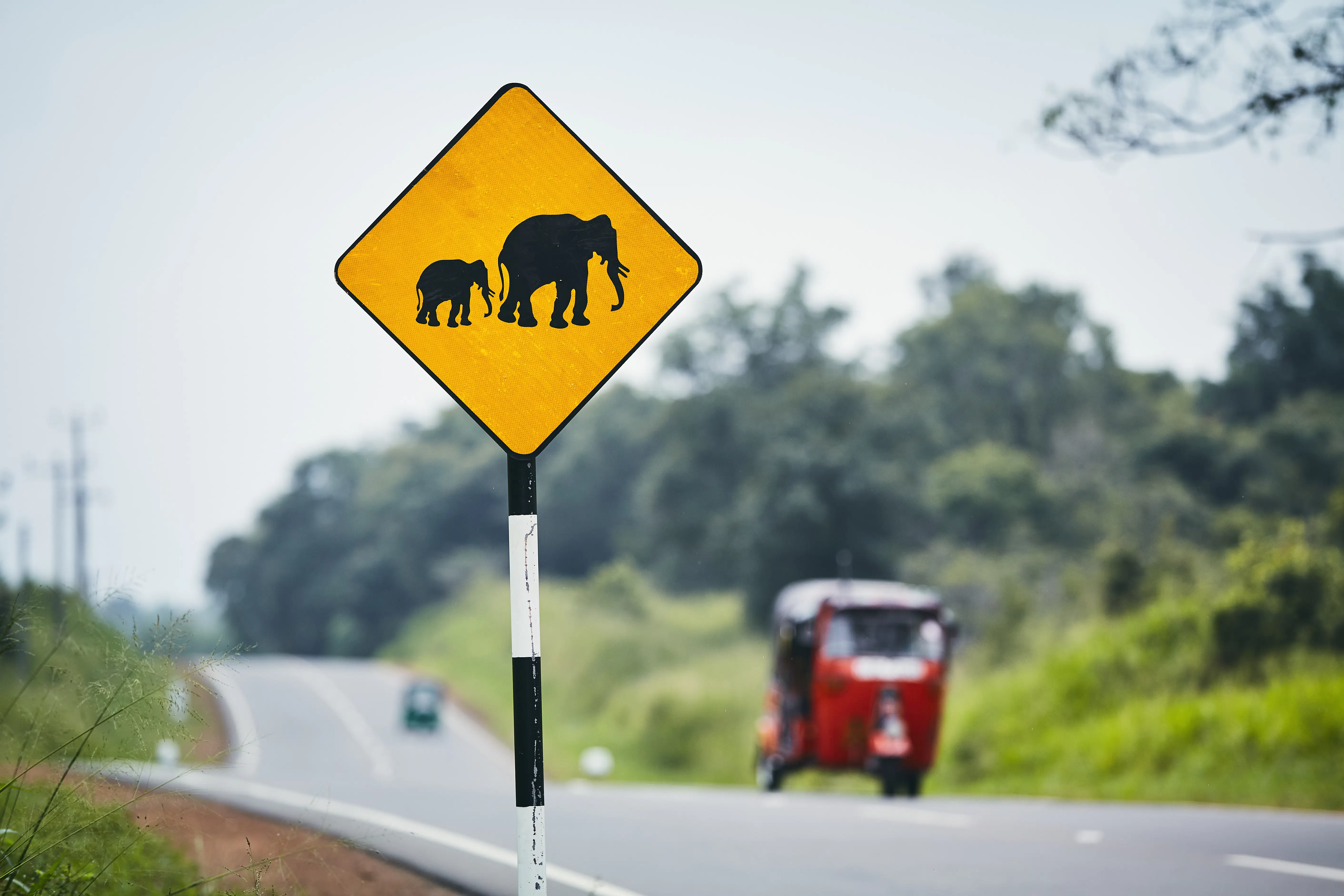 6 of the best road trips in Sri Lanka - Lonely Planet