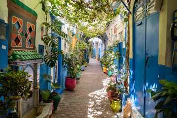 A beautiful and suggestive Tangier kasbah with colored walls and doors and a lot of plant and flowers outdoor.
1412324267