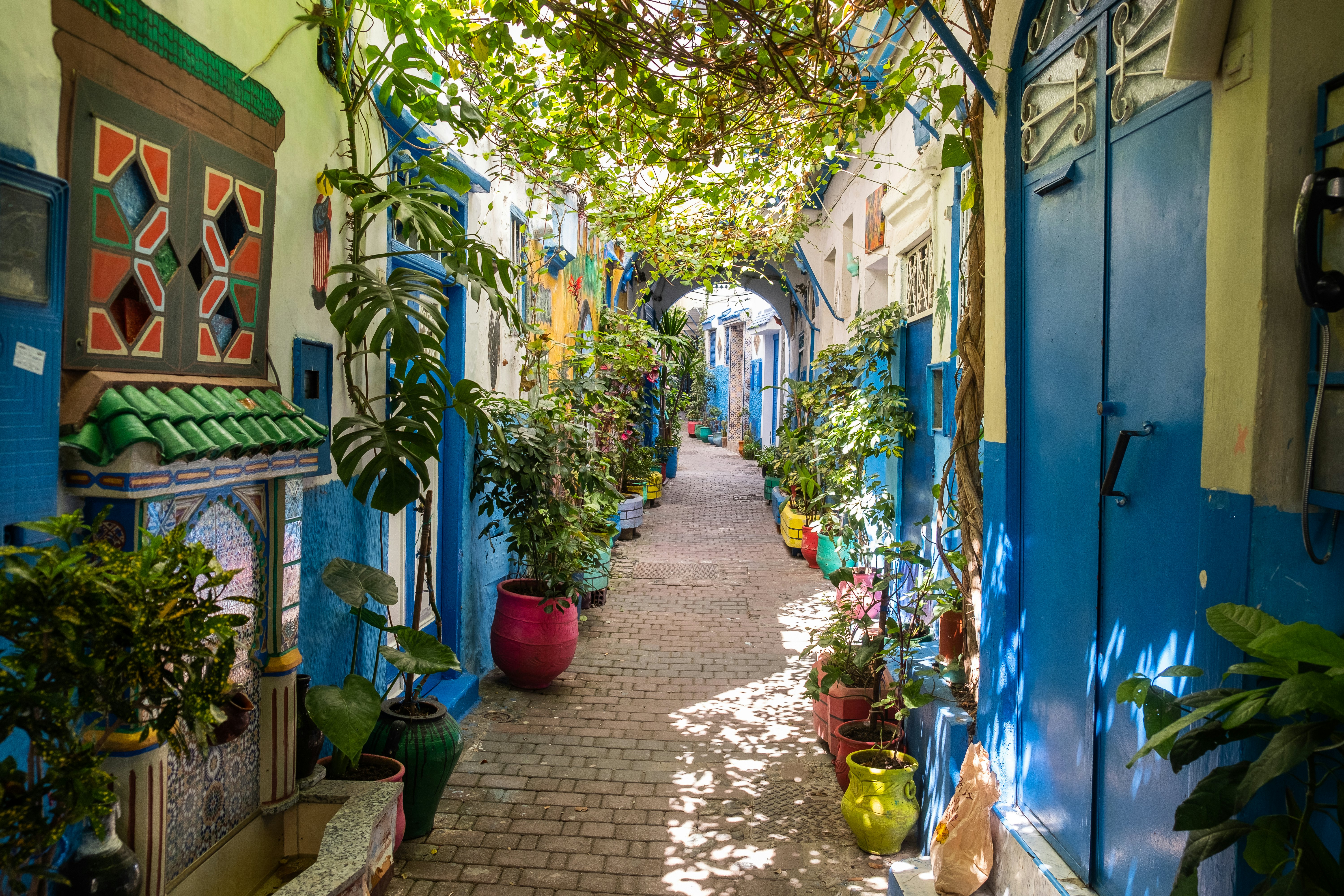 A beautiful and suggestive Tangier kasbah with colored walls and doors and a lot of plant and flowers outdoors.