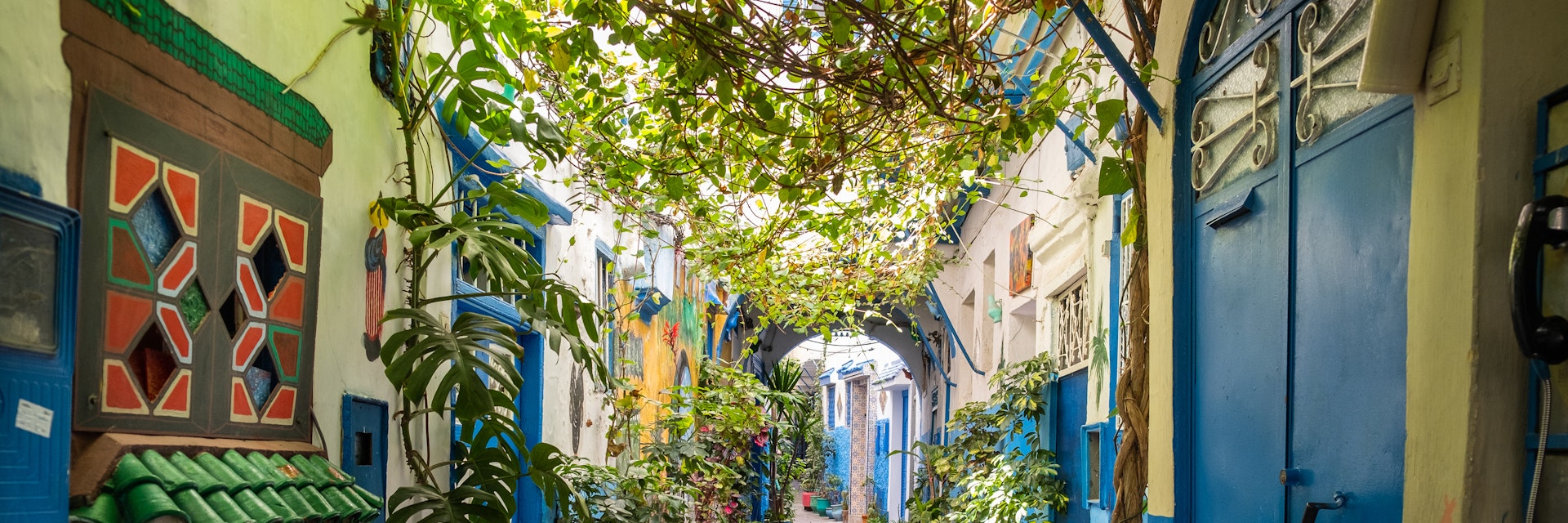 A beautiful and suggestive Tangier kasbah with colored walls and doors and a lot of plant and flowers outdoor.
1412324267