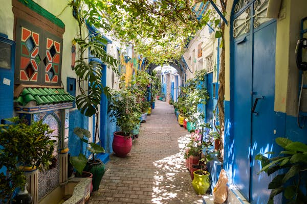 Tangier travel - Lonely Planet