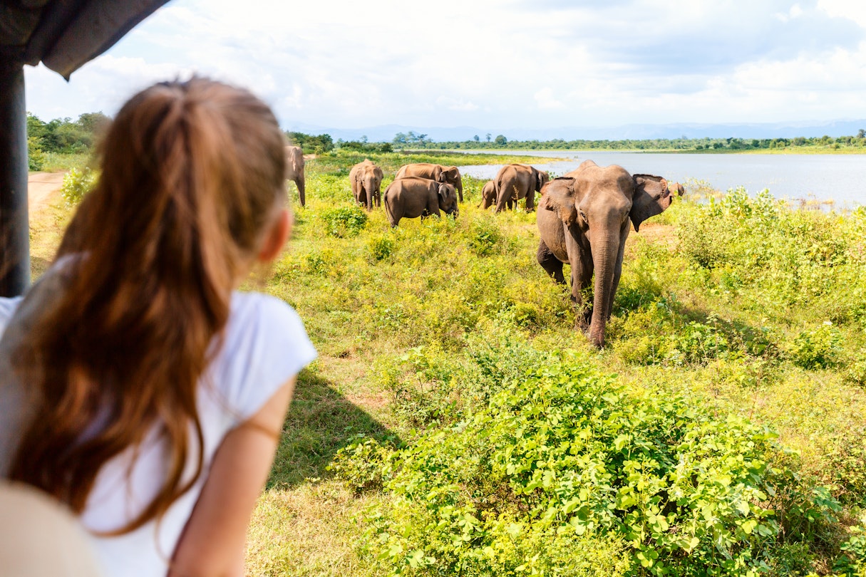 Back view of adorable little girl on safari in Sri Lanka observing elephants from open vehicle
1699698934
activity, adorable, adventure, asia, back view, beautiful, binocular, bush, car, caucasian, cheerful, child, childhood, cute, elephant, explorer, family safari, game drive, girl, human, kid, leisure, little, luxury safari, nature, outdoor, park, people, person, recreation, safari, sri lanka, udawalawe, unrecognizable, vehicle, wild, wildlife, young, youth