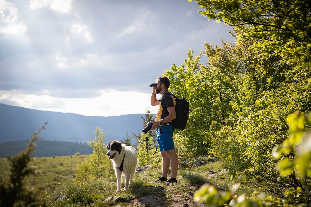 Best hikes in Vermont - Lonely Planet